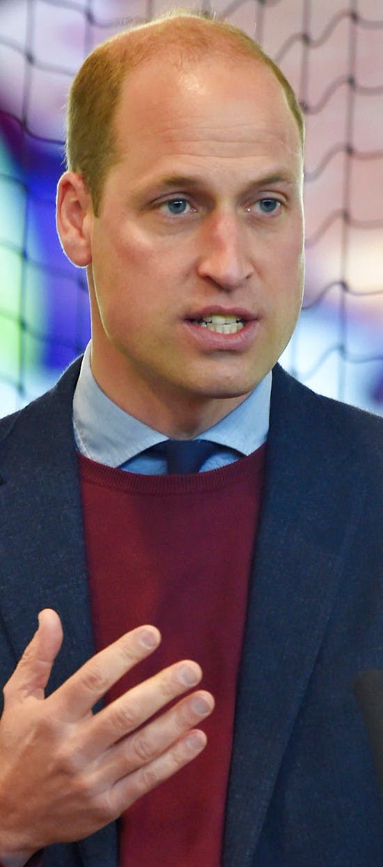 Prins William