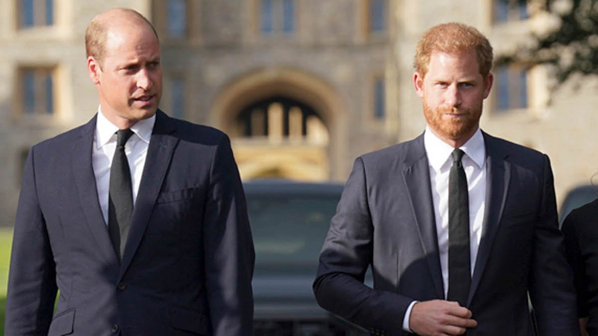 Prins William og prins Harry