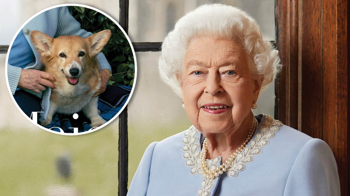 Dronning Elizabeth. Indsat: Dronning Elizabeths hund.