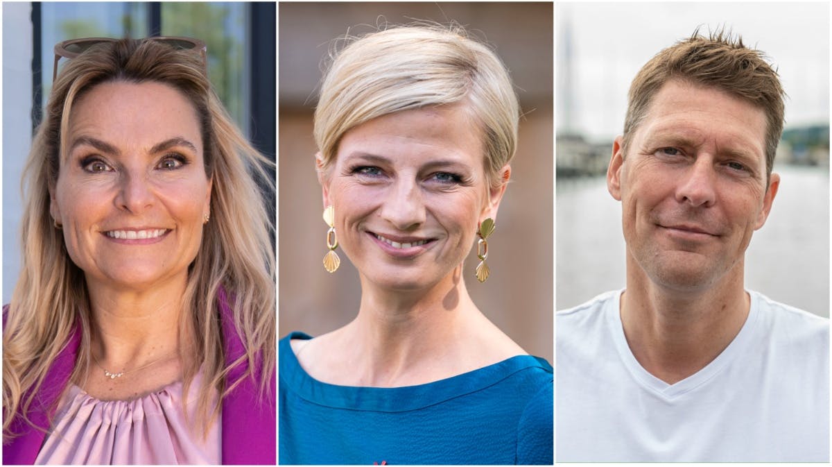 Michèle Bellaiche, Louise Wolff og Steen Langeberg