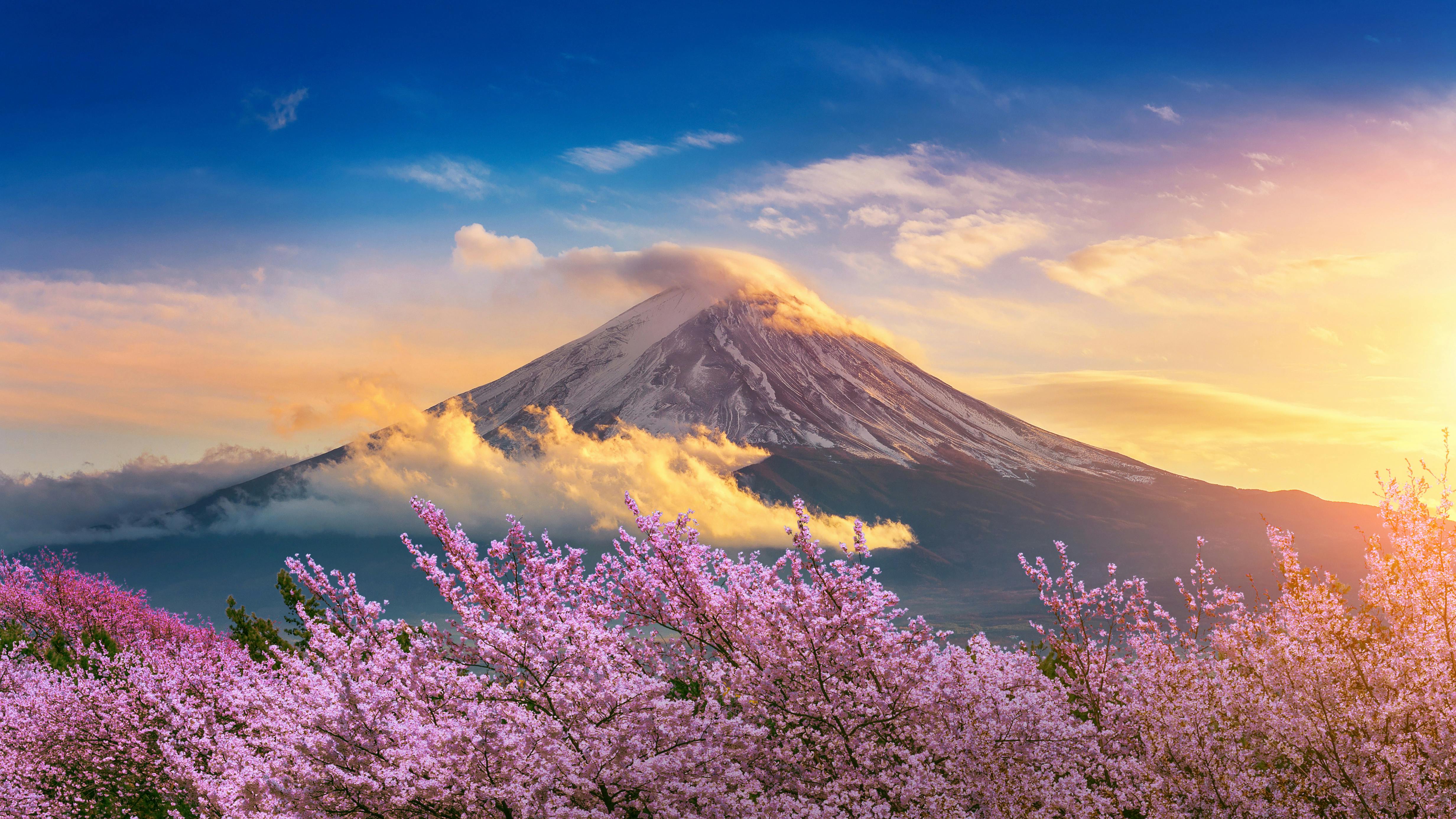 Fuji mountain and cherry blossoms in spring, Japan.