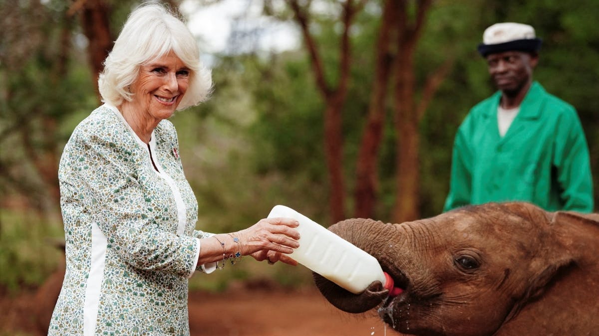 Dronning Camilla