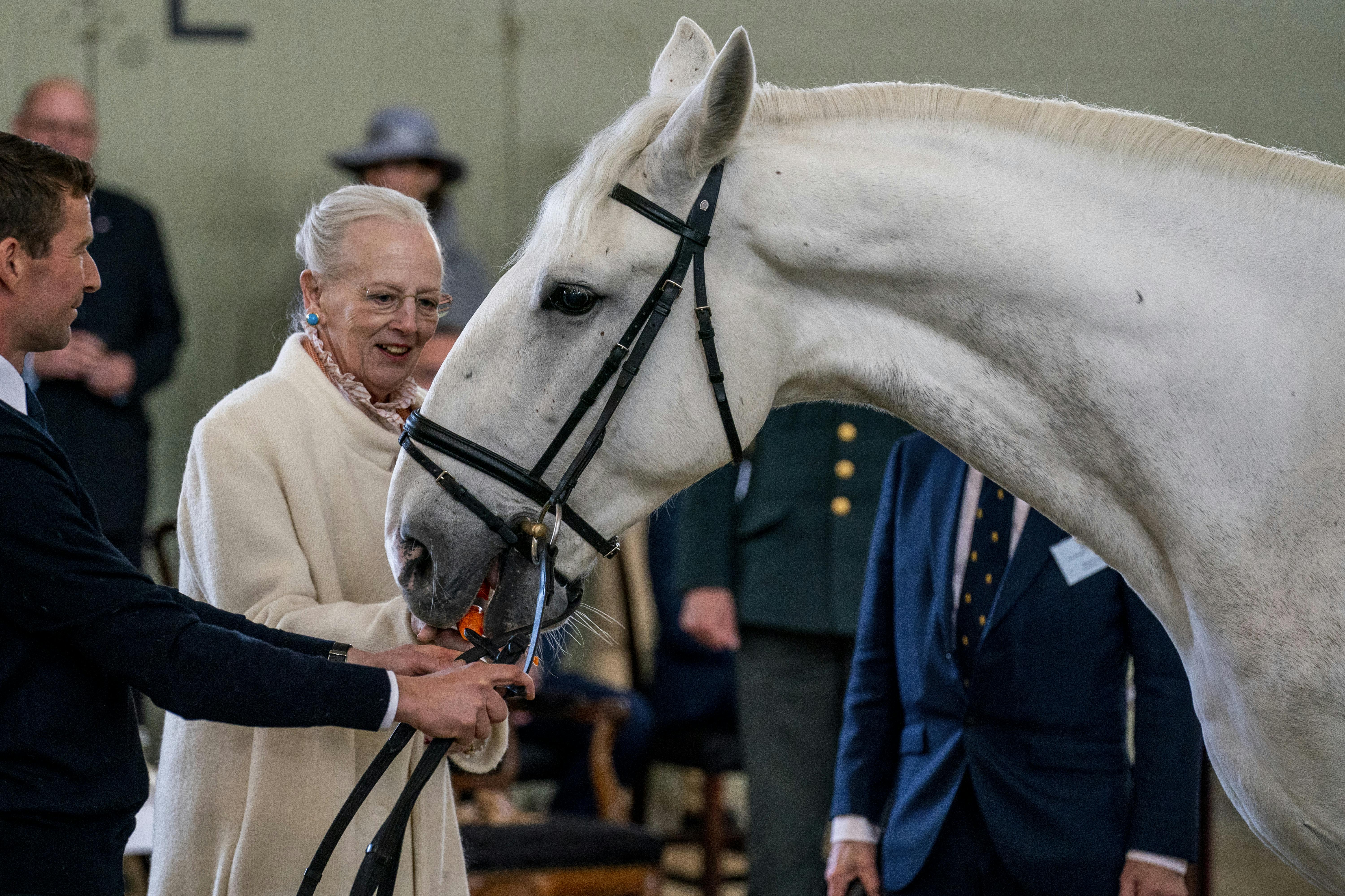 Dronning Margrethe giver sin hest Avanti en gulerod.