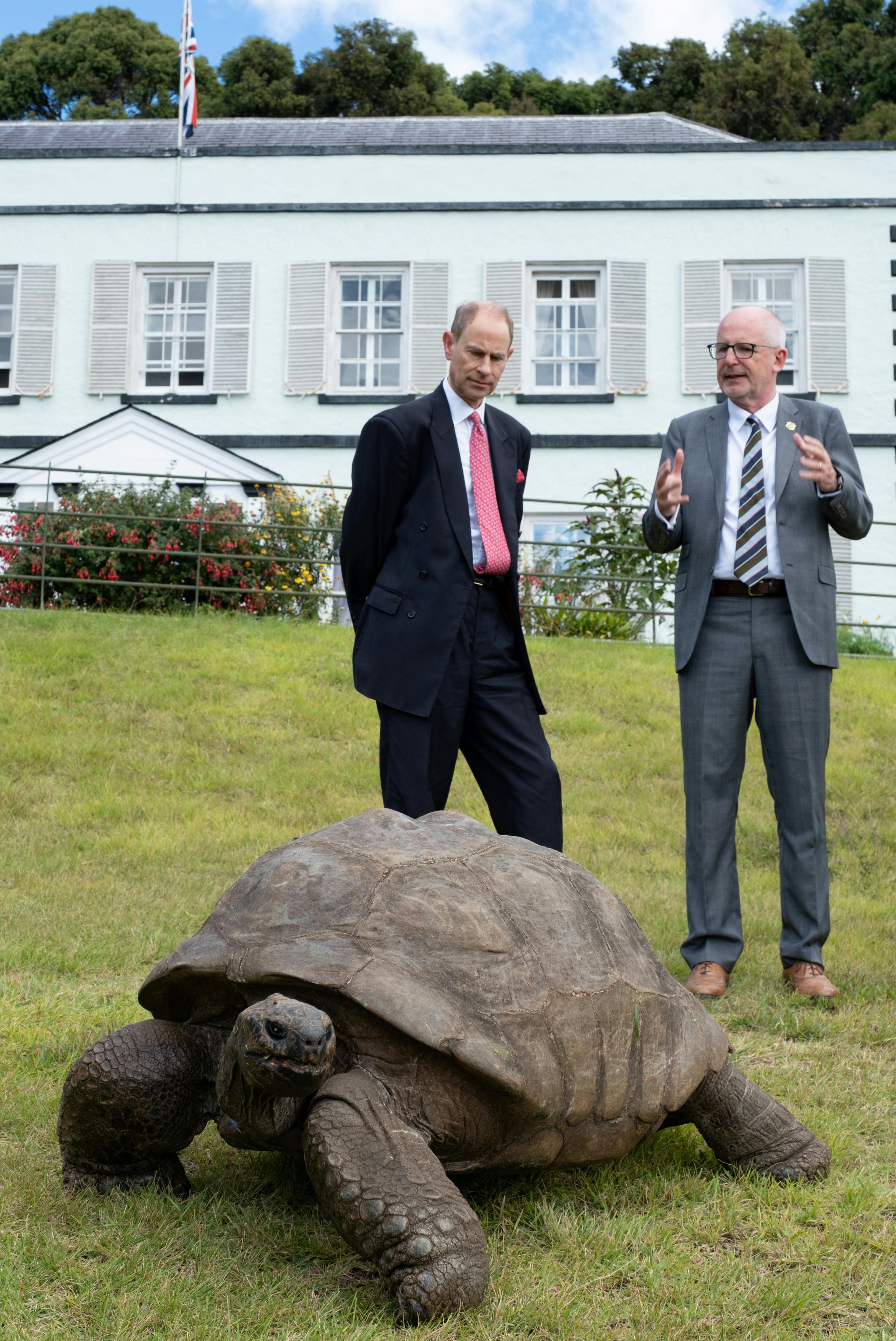 Britain's Prince Edward, Duke of Edinburgh meets the world's oldest living land animal, Jonathan the 191-year-old giant tortoise, on the South Atlantic island of Saint Helena, January 24, 2024. Buckingham Palace/Handout via REUTERS THIS IMAGE HAS BEEN SUPPLIED BY A THIRD PARTY. MANDATORY CREDIT.NO RESALES.NO ARCHIVES. REUSE OF THE PICTURE MAY REQUIRE FURTHER PERMISSION FROM THE COPYRIGHT HOLDER.