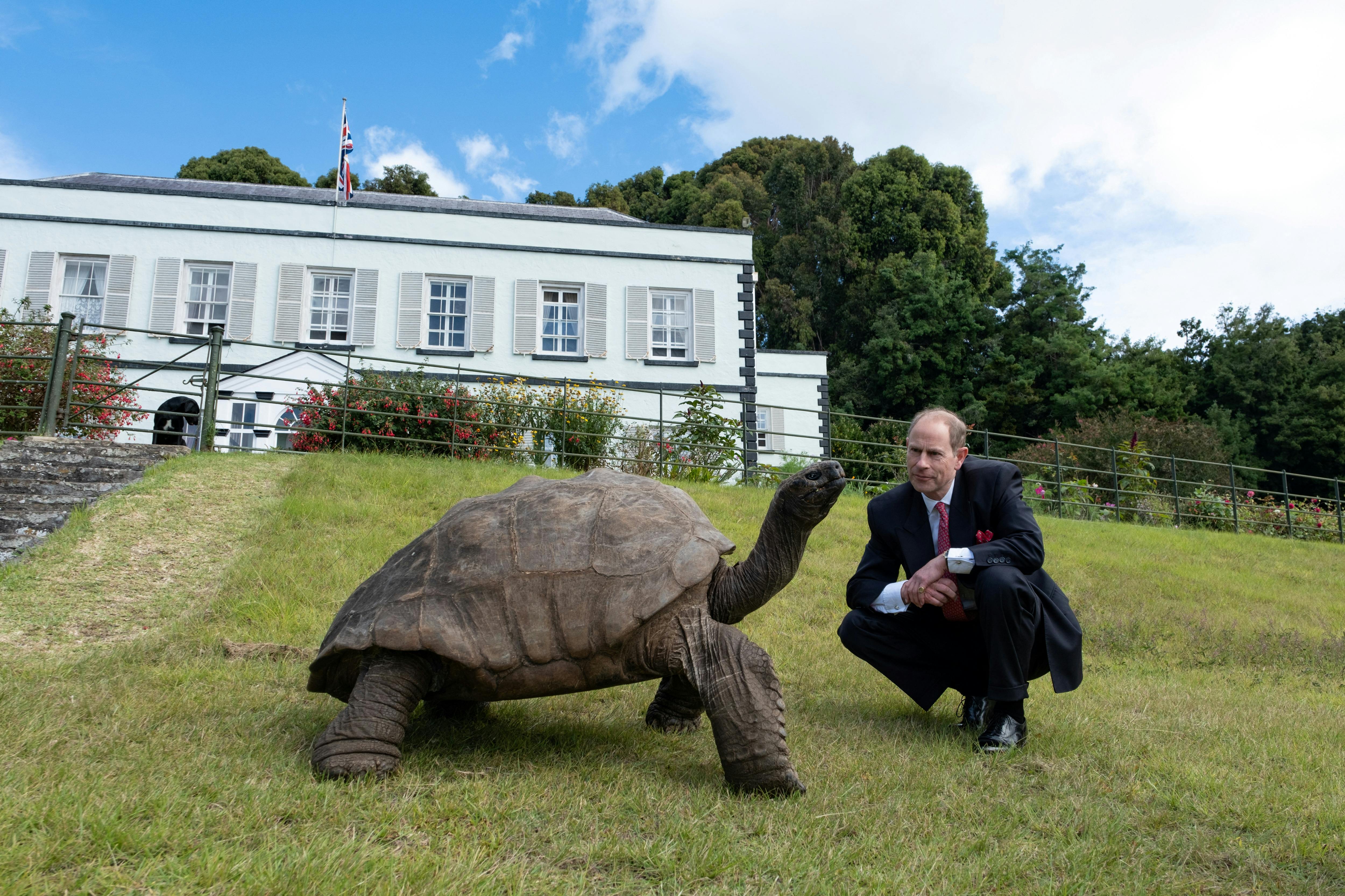 Britain's Prince Edward, Duke of Edinburgh meets the world's oldest living land animal, Jonathan the 191-year-old giant tortoise, on the South Atlantic island of Saint Helena, January 24, 2024. Buckingham Palace/Handout via REUTERS THIS IMAGE HAS BEEN SUPPLIED BY A THIRD PARTY. MANDATORY CREDIT.NO RESALES.NO ARCHIVES. REUSE OF THE PICTURE MAY REQUIRE FURTHER PERMISSION FROM THE COPYRIGHT HOLDER.