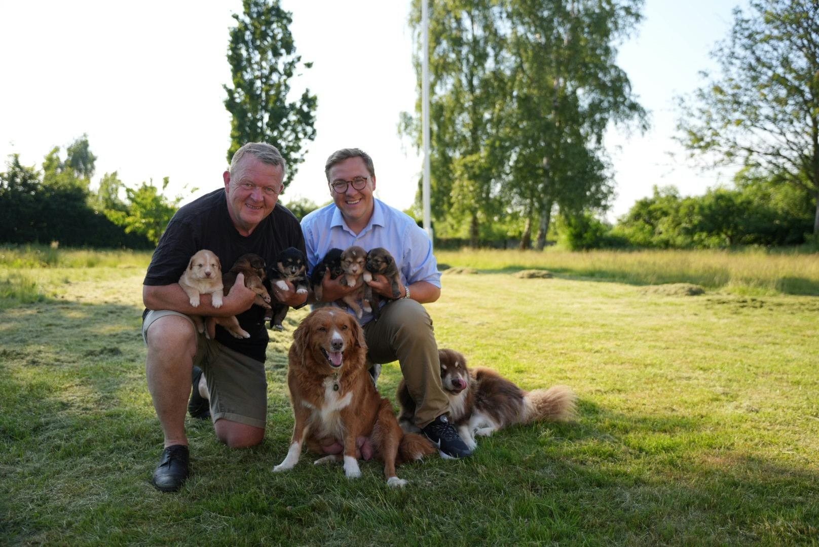 Lars og Bergur Løkke Rasmussen med de nye hvalpe. Mor Frida i midten er Lars' hund, mens Bergurs Atlas gemmer sig bag hans ben.&nbsp;