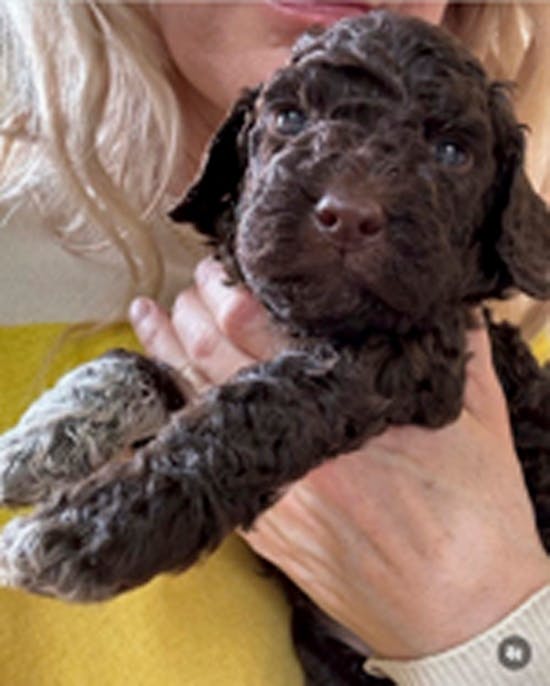 Annette Heick med hunden Carla.