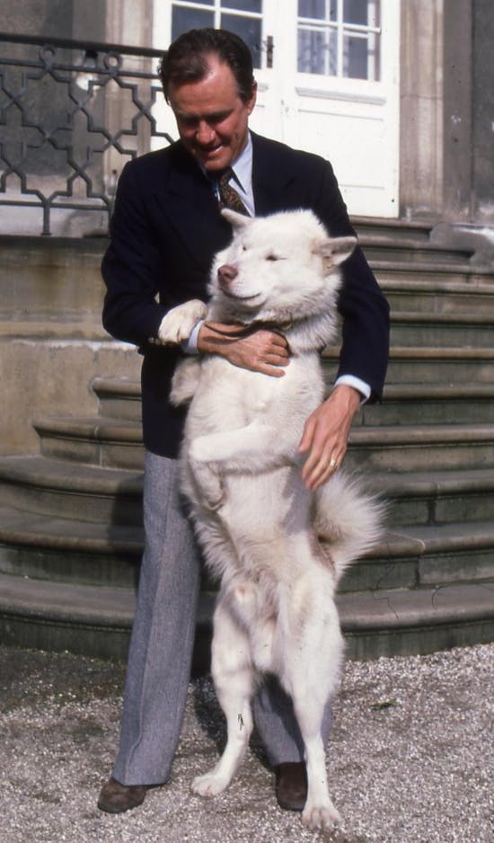 Prins Henrik med slædehunden Nanok.