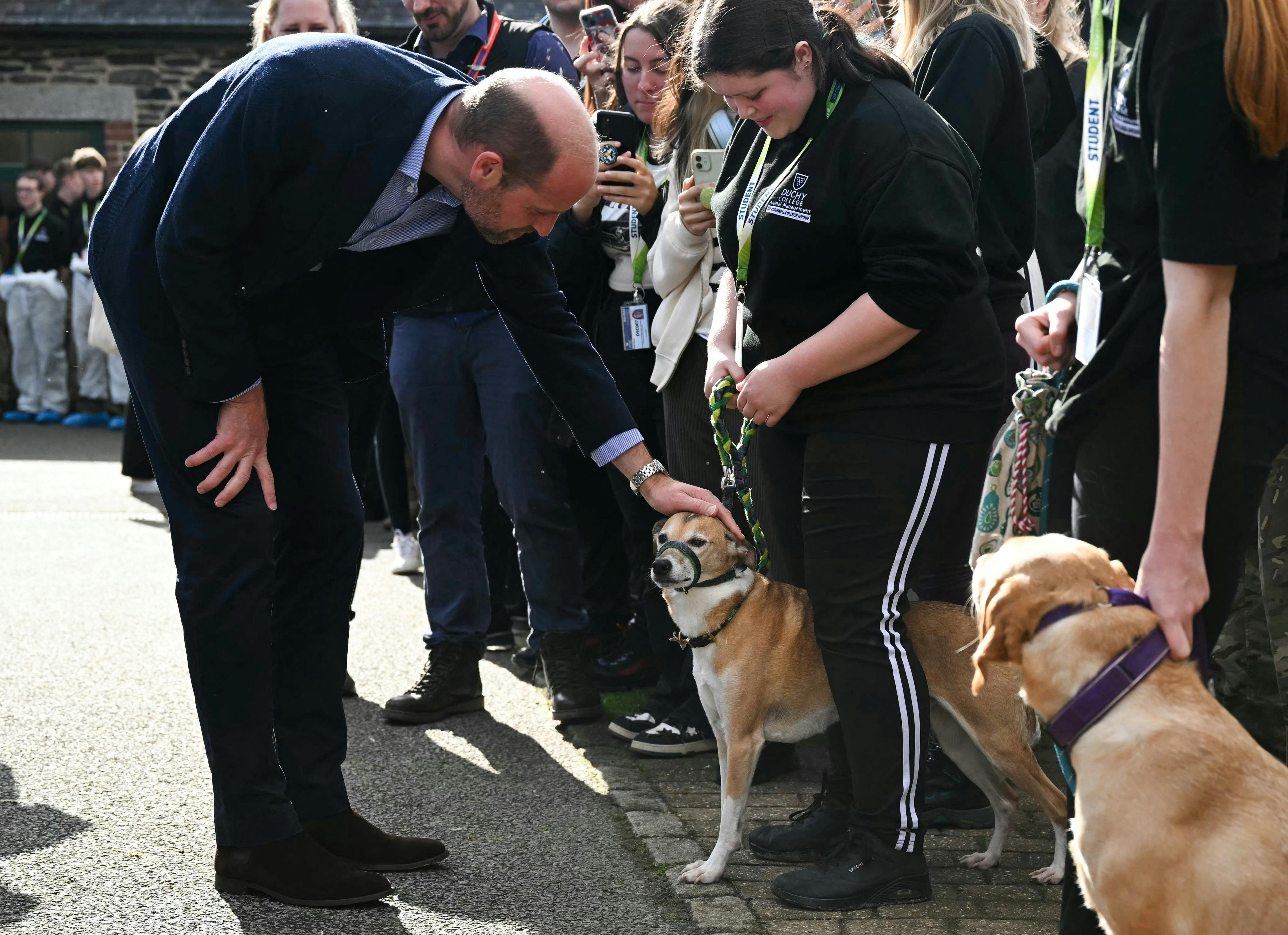 Britain's Prince William, Prince of Wales (L) pets a dog of the Animal management department as he prepares to leave College Stoke Climsland in Callington, in Cornwall, southwestern England, on October 17, 2024 following a visit to learn about how the college is providing opportunities for young people in rural areas. JUSTIN TALLIS/Pool via REUTERS