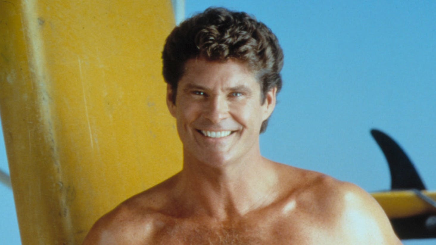 David Hasselhoff. 