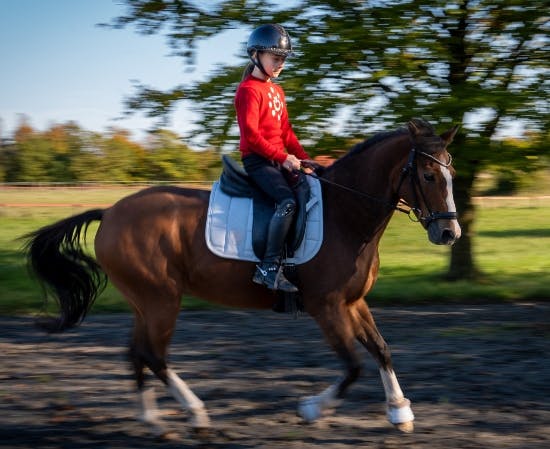 Hollie på sin pony Rondo.