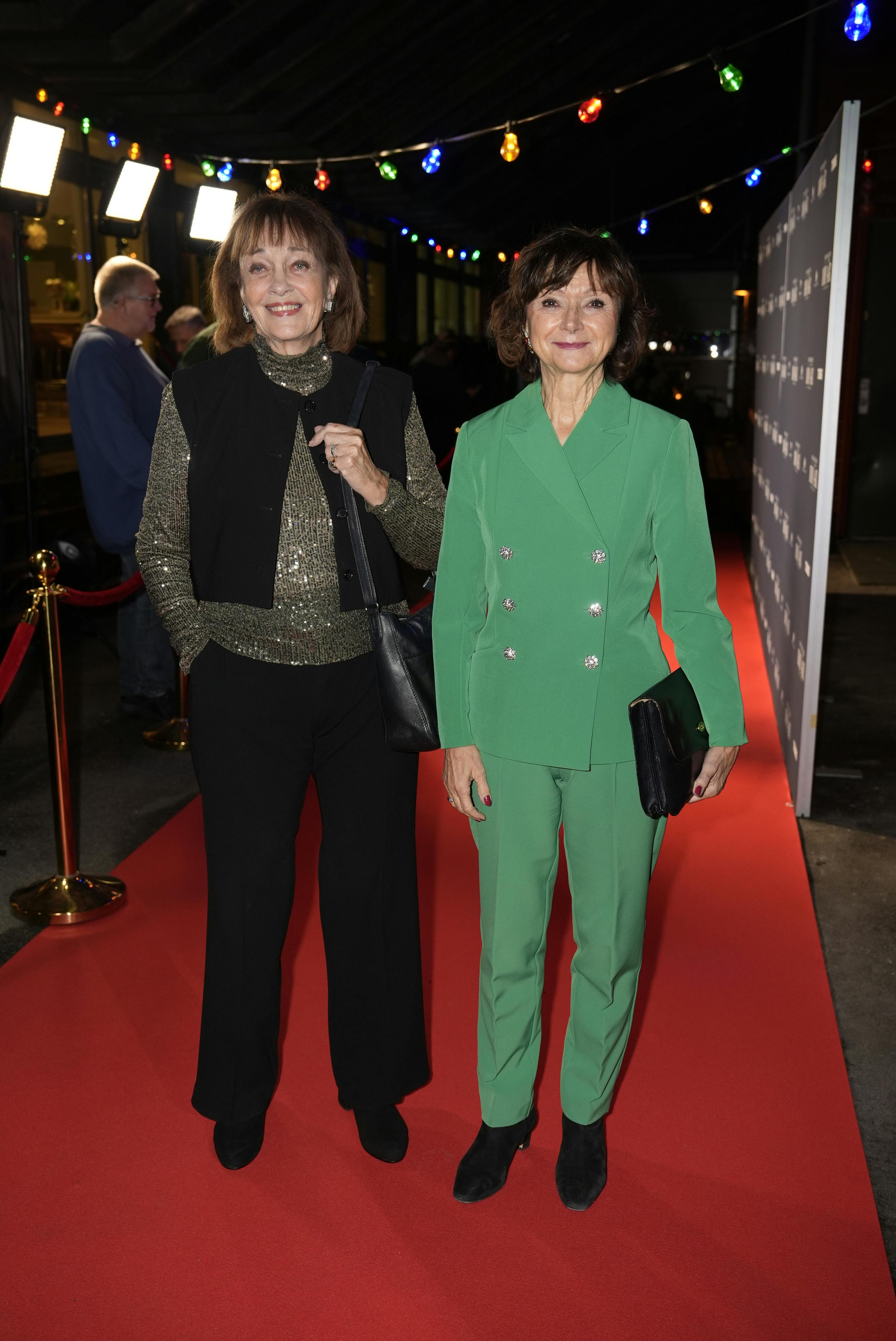 Straksbillede:Billedet er sendt direkte fra kameraet. Derfor er det ikke billedbehandlet.