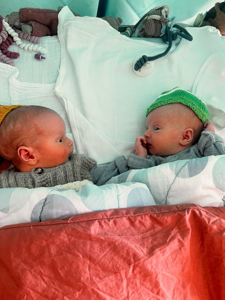 https://imgix.billedbladet.dk/2025-01-16/Pinborgtvillinger.jpg