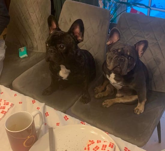 Dalton (tv) og Bjarne klar til at feste.