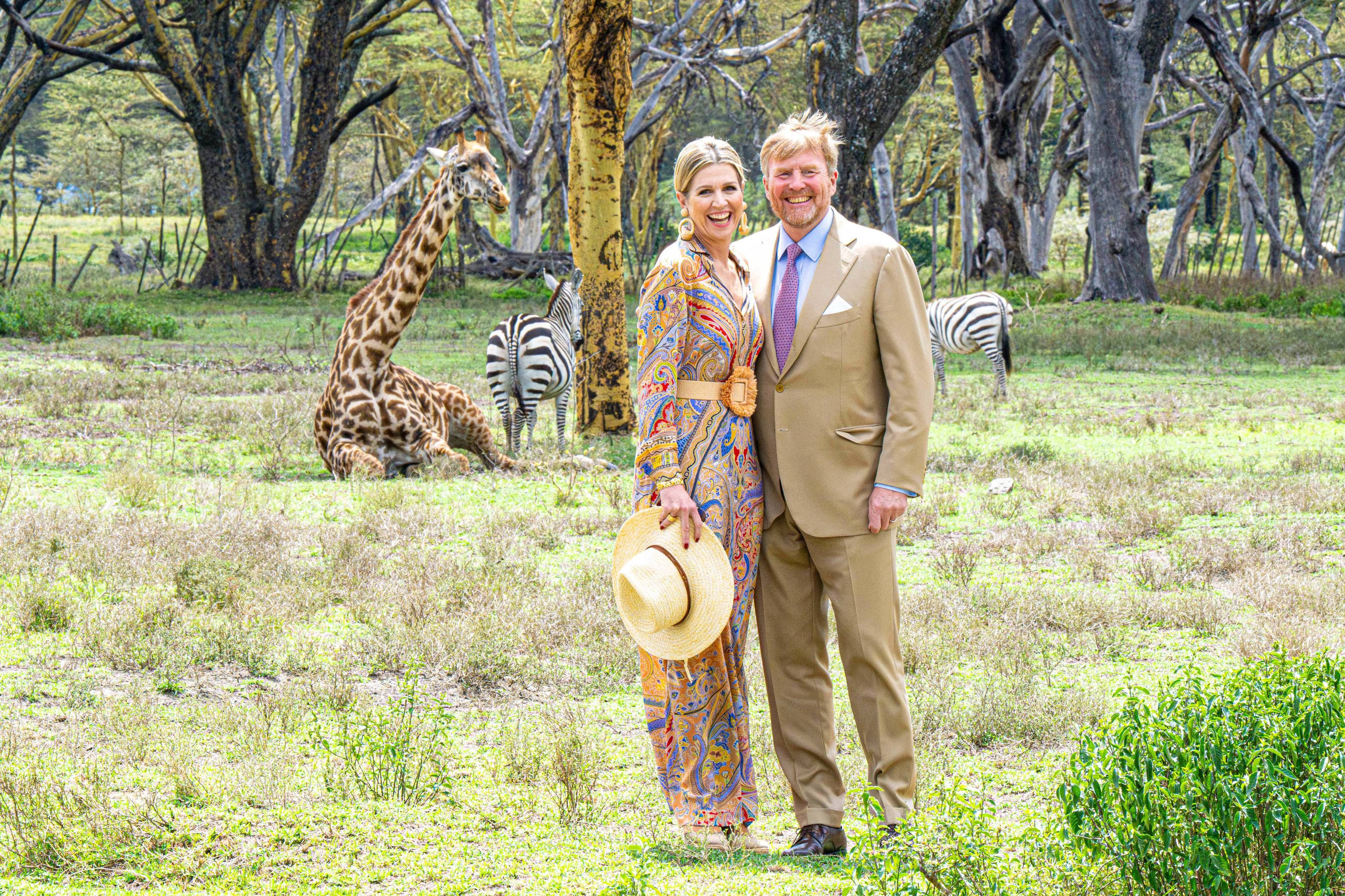 Dronning Maxima og kong Willem-Alexander blandt giraffer og zebraer. 