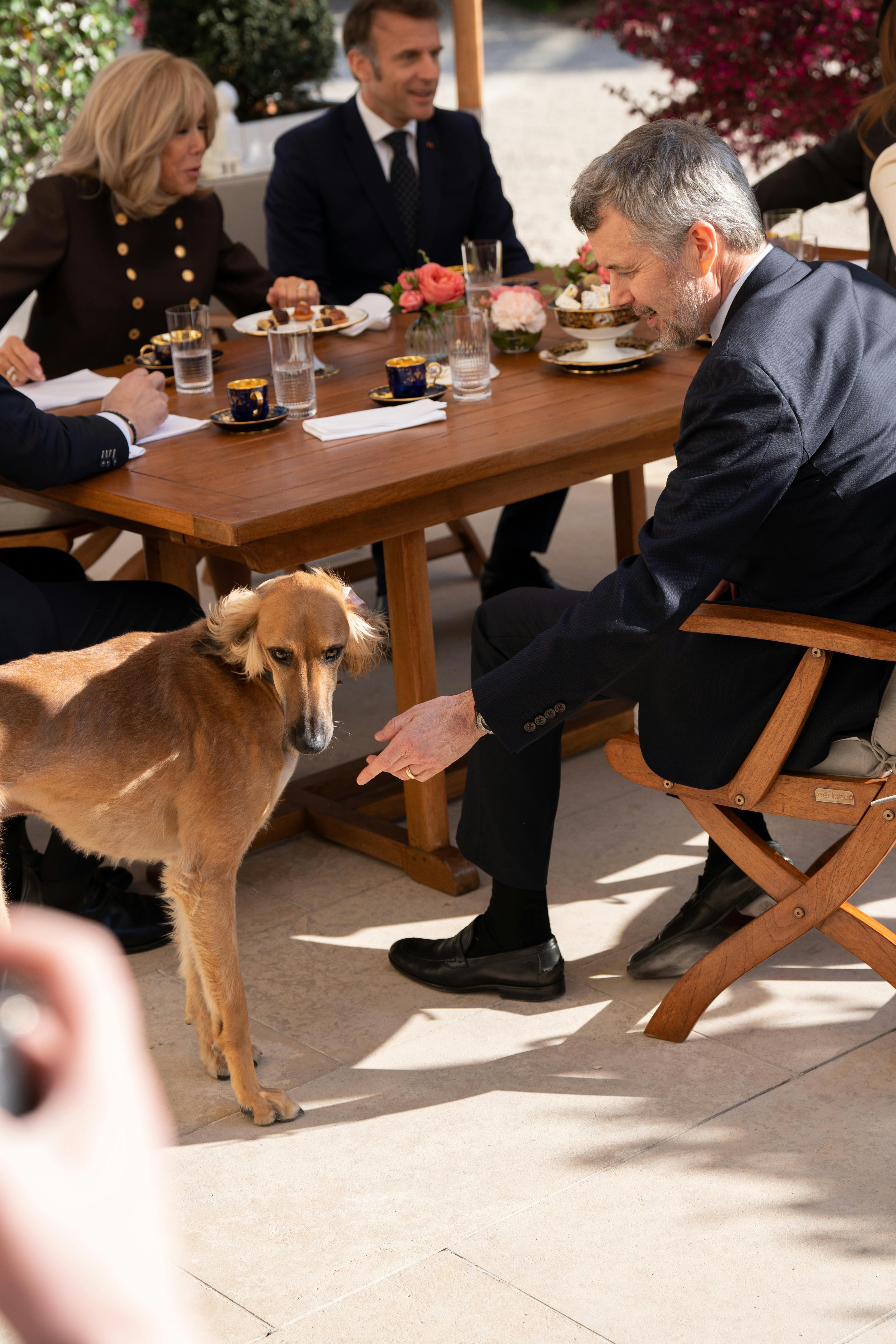 Kong Frederik hilser på Emmanuel Macrons hund.