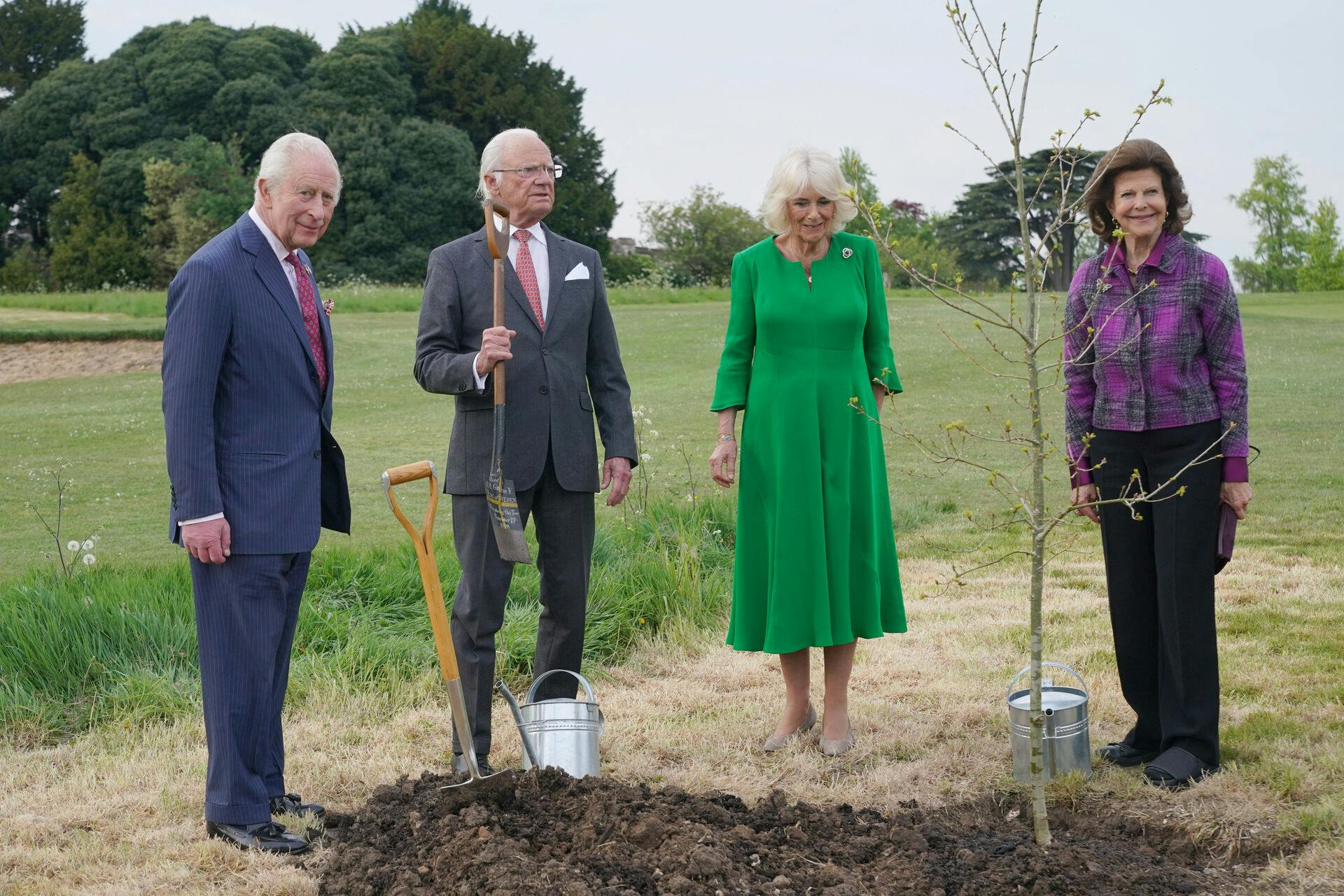 Kong Charles og dronning Camilla modtager et egetræ i gave af dronning Silvia og kong Carl Gustaf.
