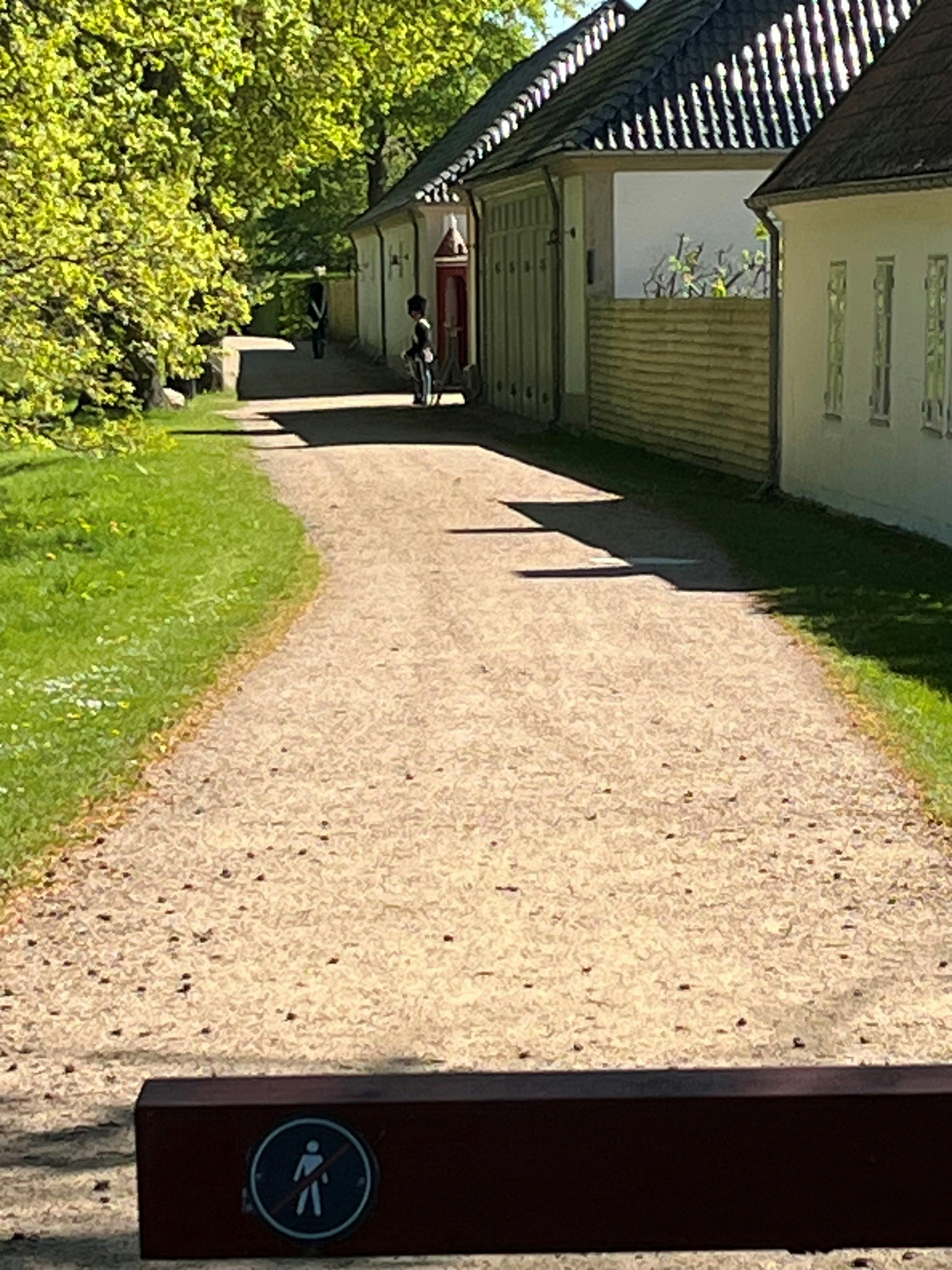 Slotsparken bag Kancellihuset