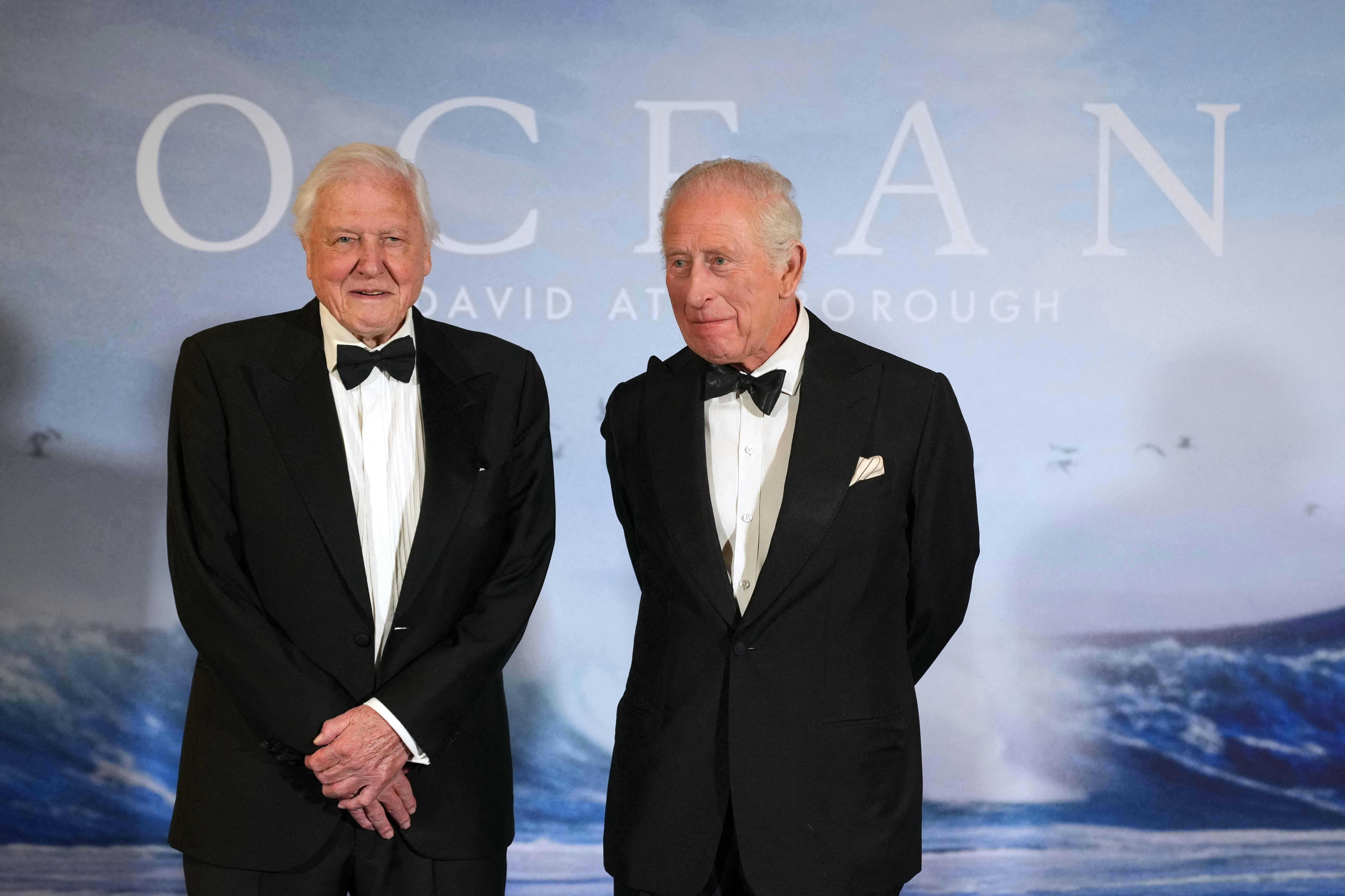 David Attenborough og kong Charles på den blå løber.