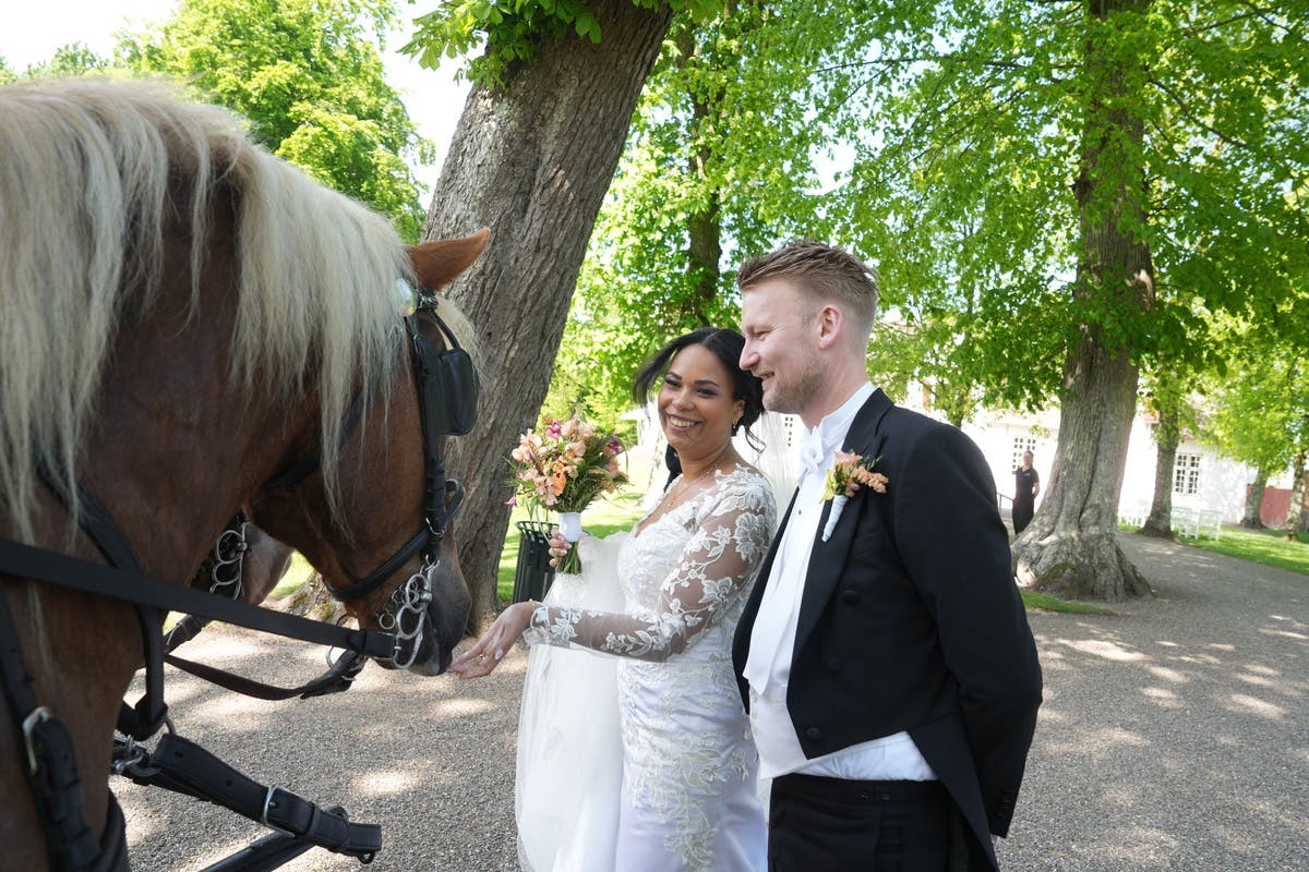 https://imgix.billedbladet.dk/2025-05-10/2CF01509.jpg