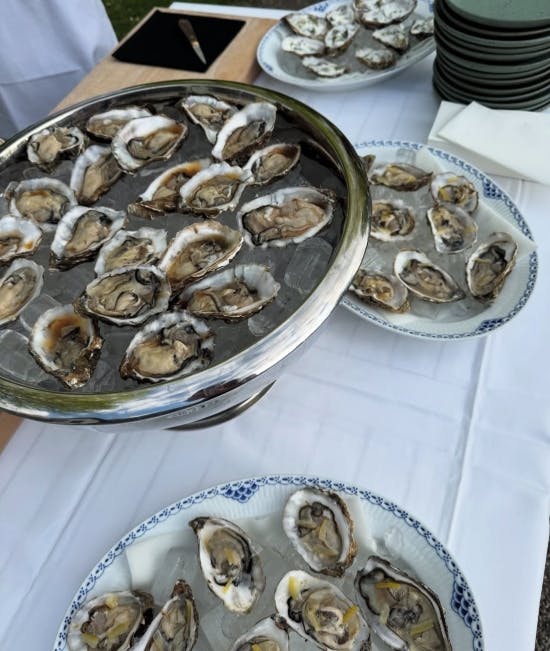 Østers på Schackenborg Slot og Slotskro.