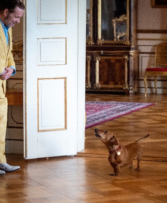 Dronning Margrethes hund Tilia