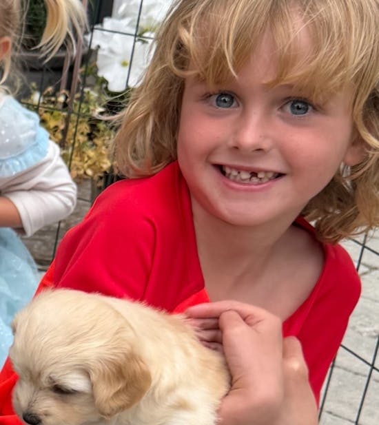 Glad Lucas med en hundehvalp.