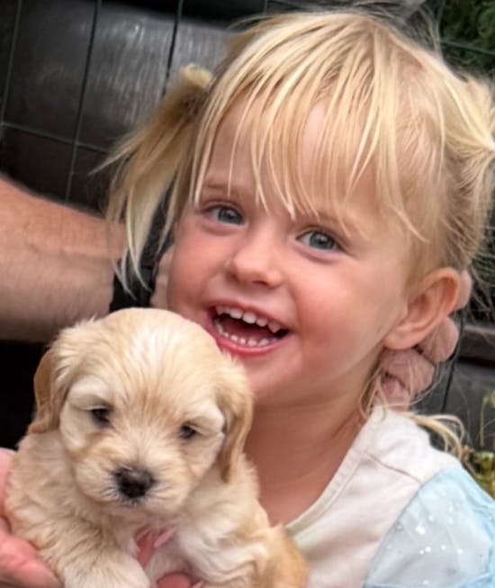 Aura med den sødeste hundehvalp.