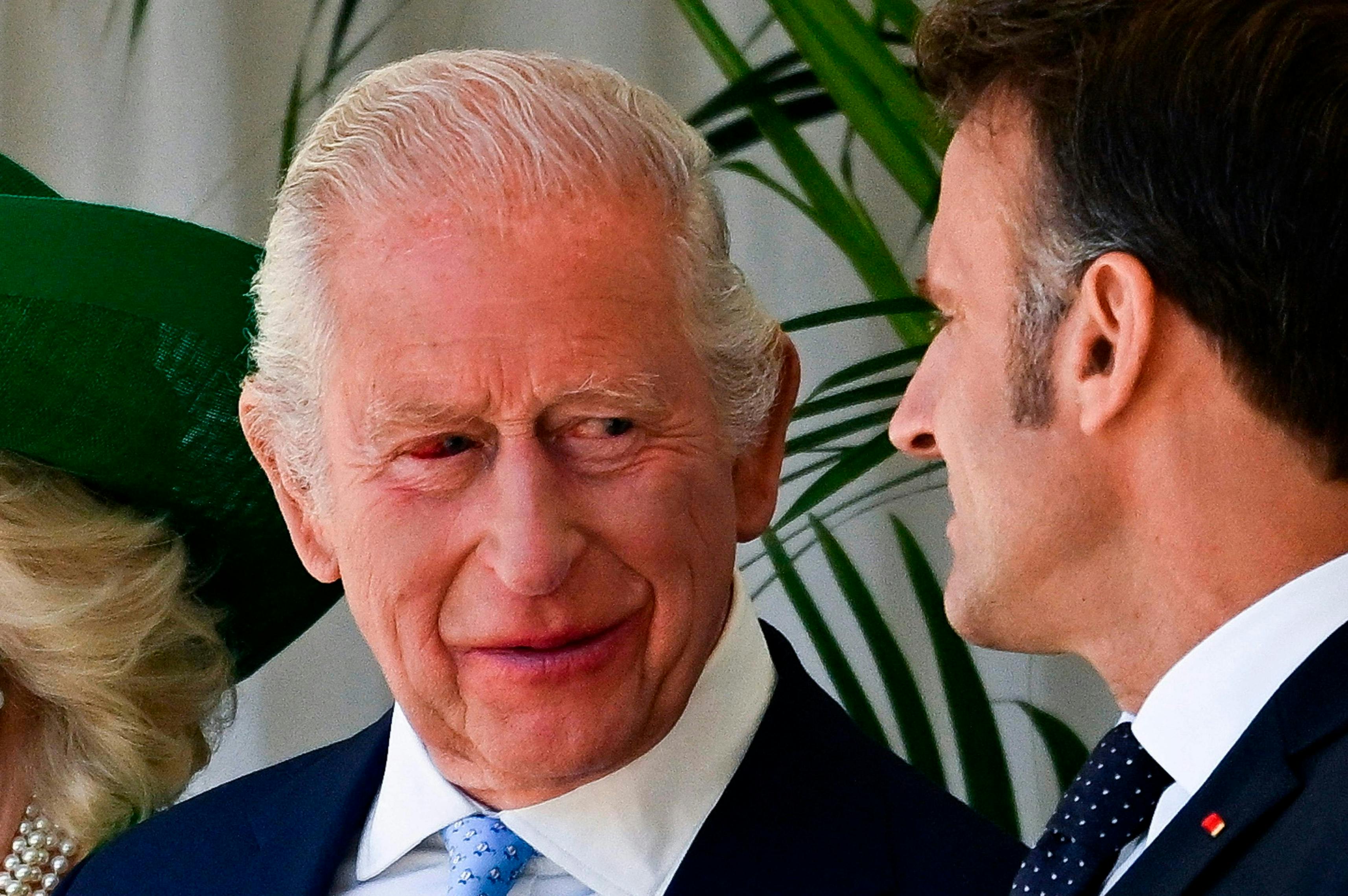 https://imgix.billedbladet.dk/2025-07-09/20250708-151132-1-5000x3532maw.jpg
