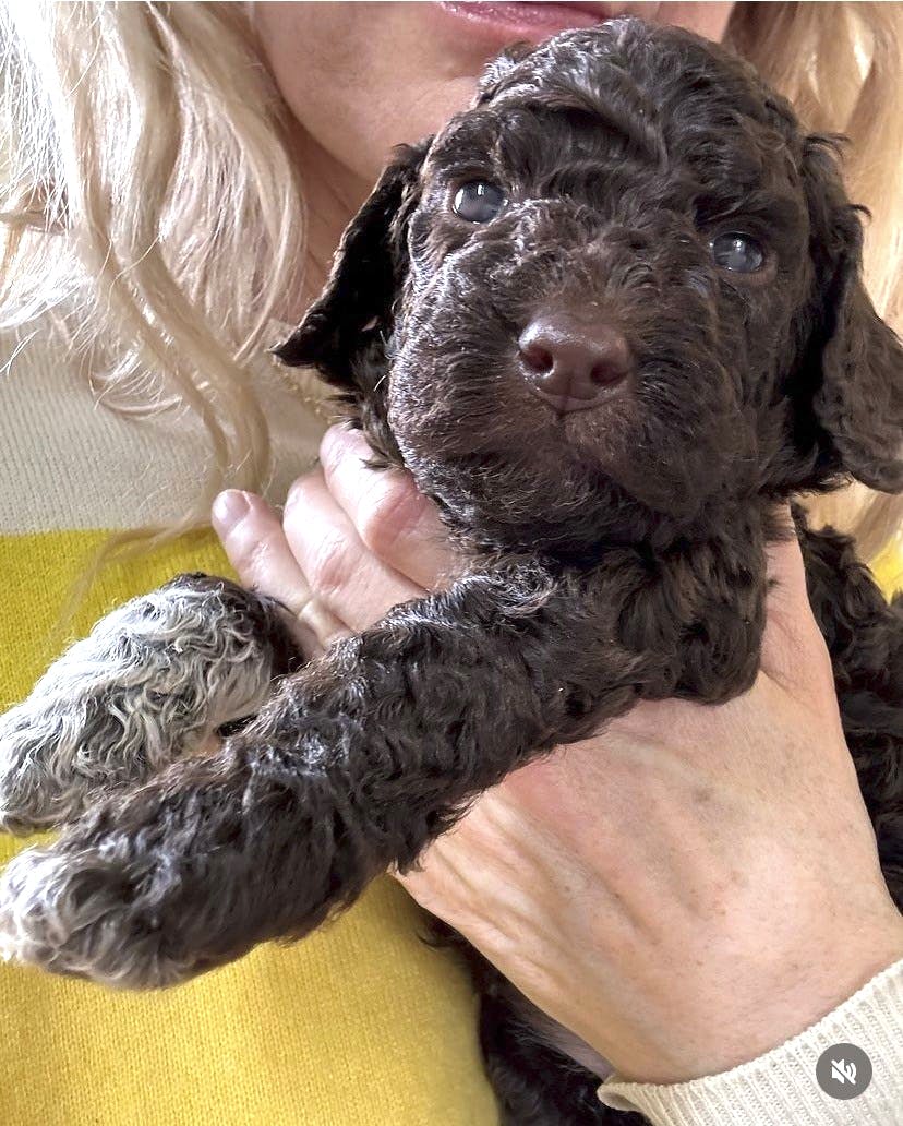 Annette Heick med lille Carla.