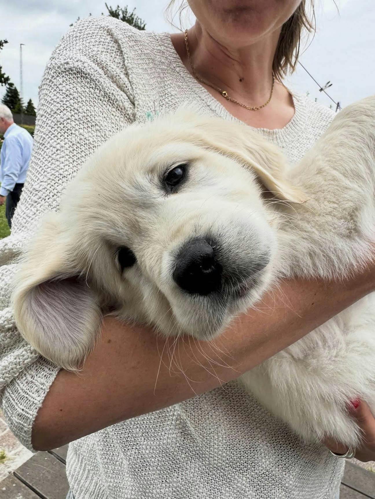 Trine Schmidt, journalist og cykelekspert på TV 2, skal have en ny hundehvalp. En golden retriever som hedder Bodil. Privatfoto til interview med BILLED-BLADET