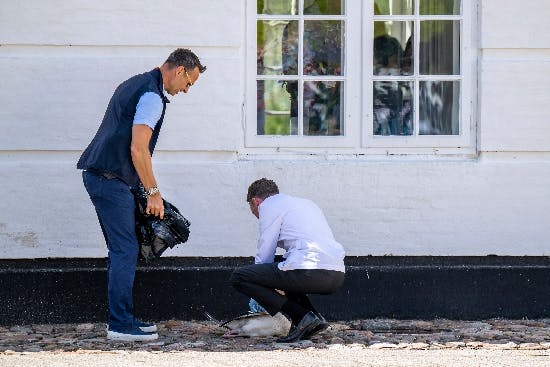Vagt og tjener tager sig af den uheldige gås