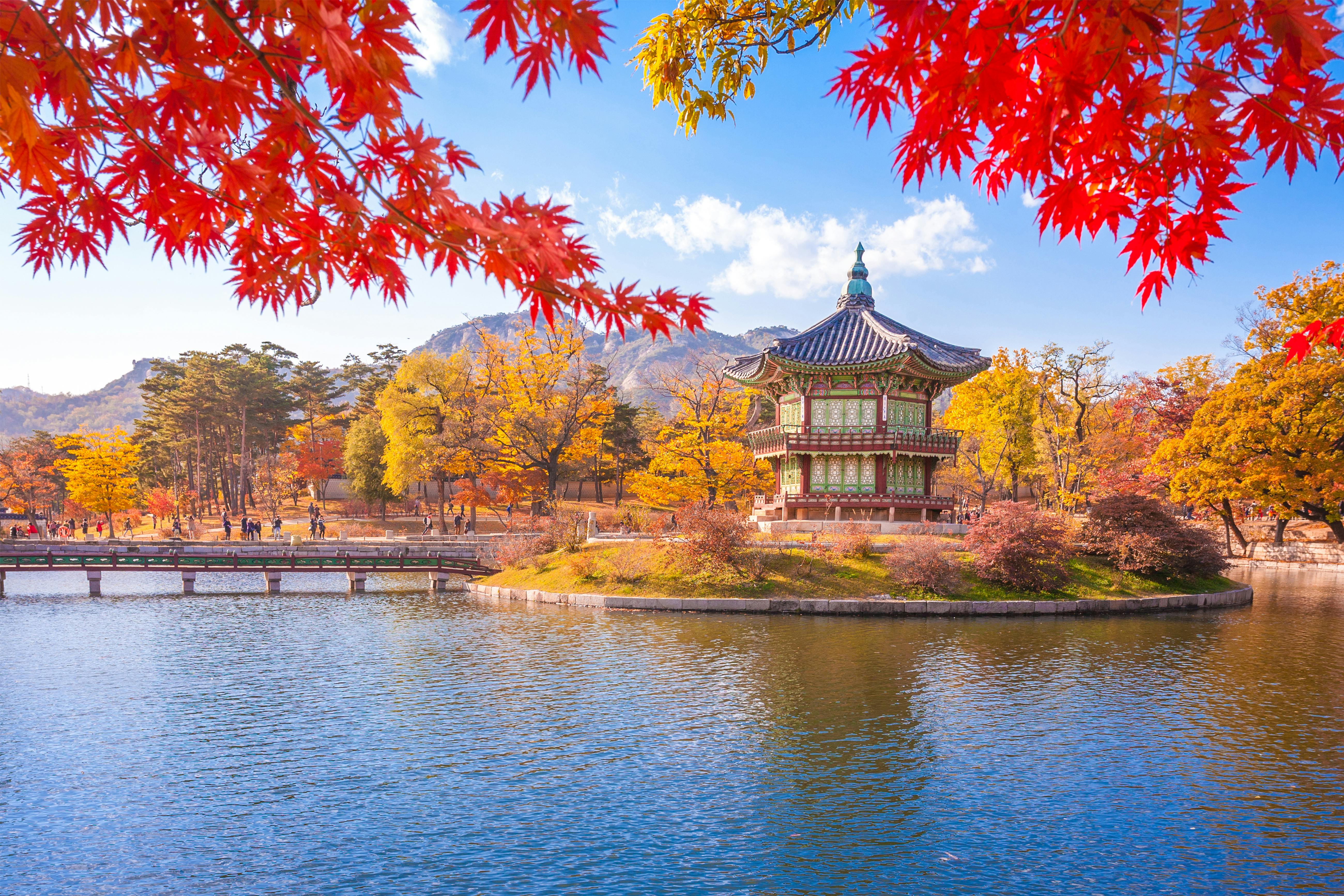 https://imgix.billedbladet.dk/2025-09-15/Sydkorea_AdobeStock_151235300.jpeg