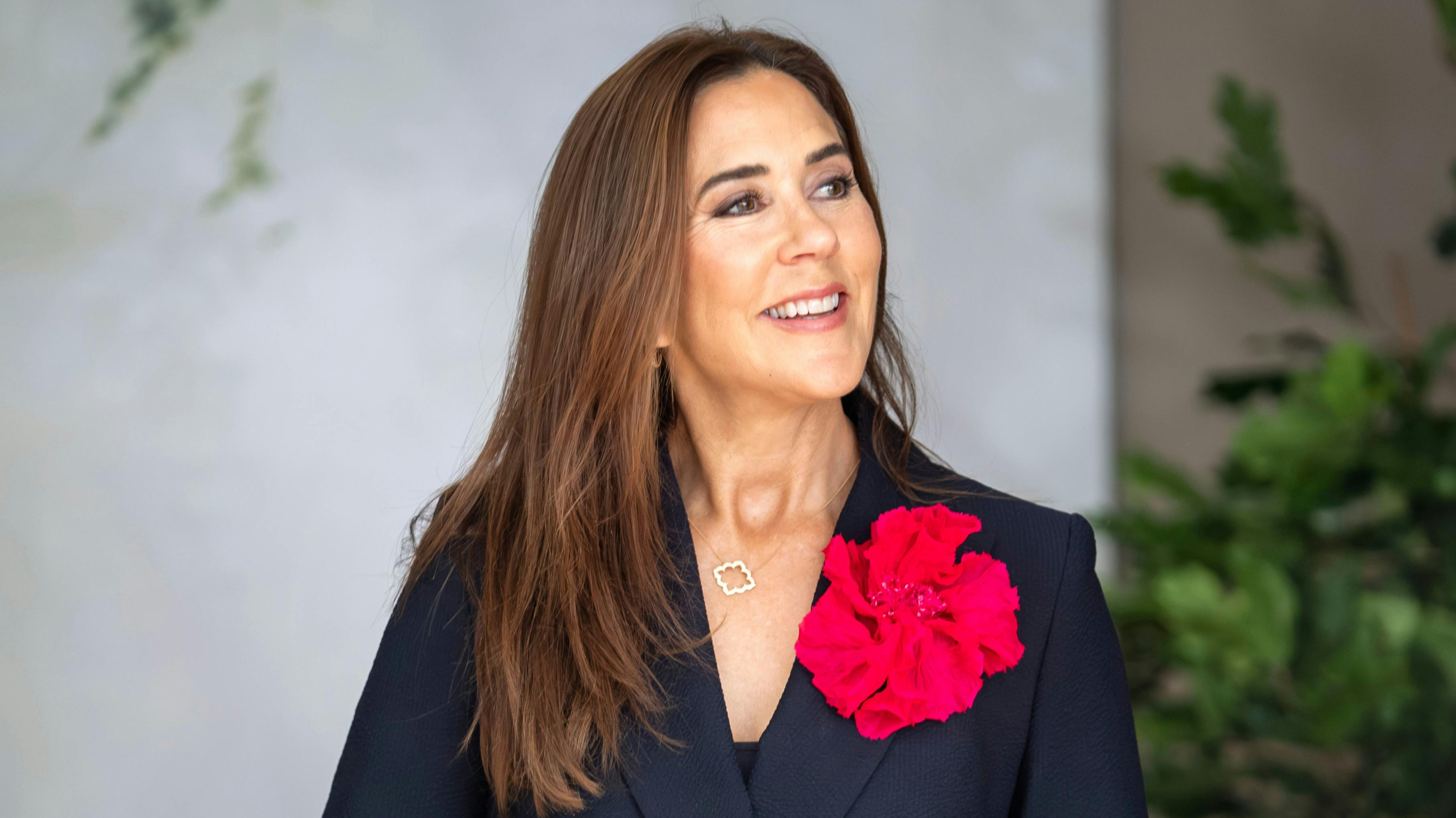https://imgix.billedbladet.dk/2025-09-15/crop_HJP1588.jpg