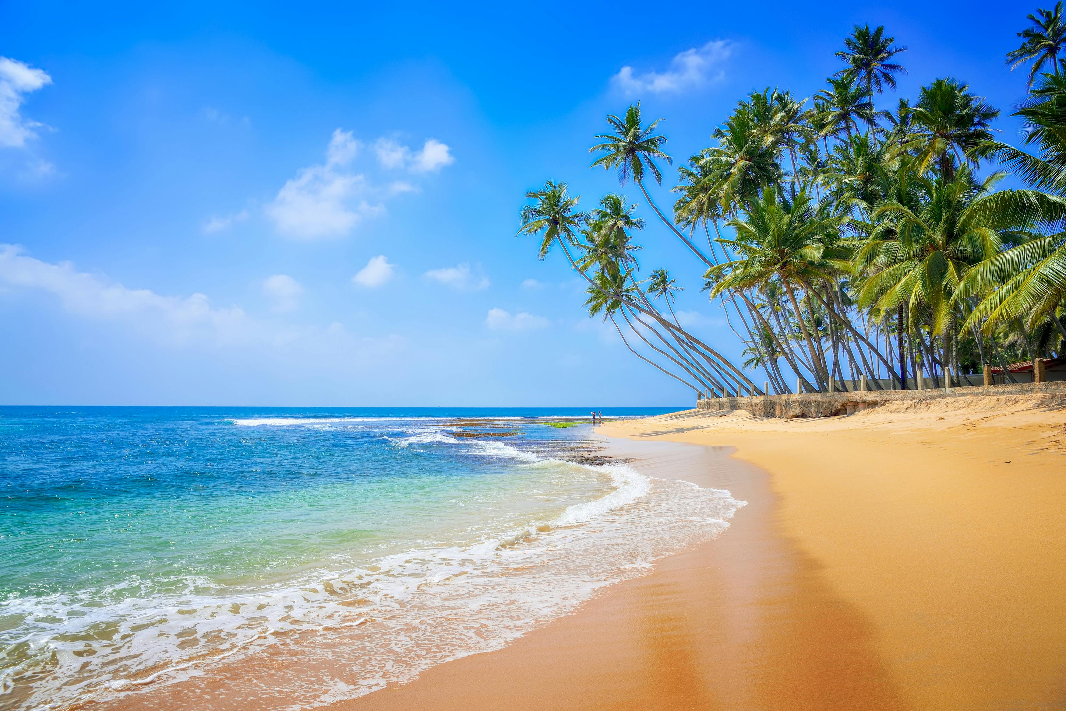 https://imgix.billedbladet.dk/2025-09-16/Sri_Lanka_AdobeStock_179855946_0.jpeg