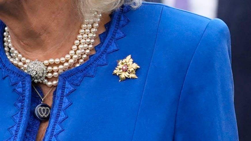 https://imgix.billedbladet.dk/2025-09-22/crop_20250917-193851-5-5101x3556ma.jpg