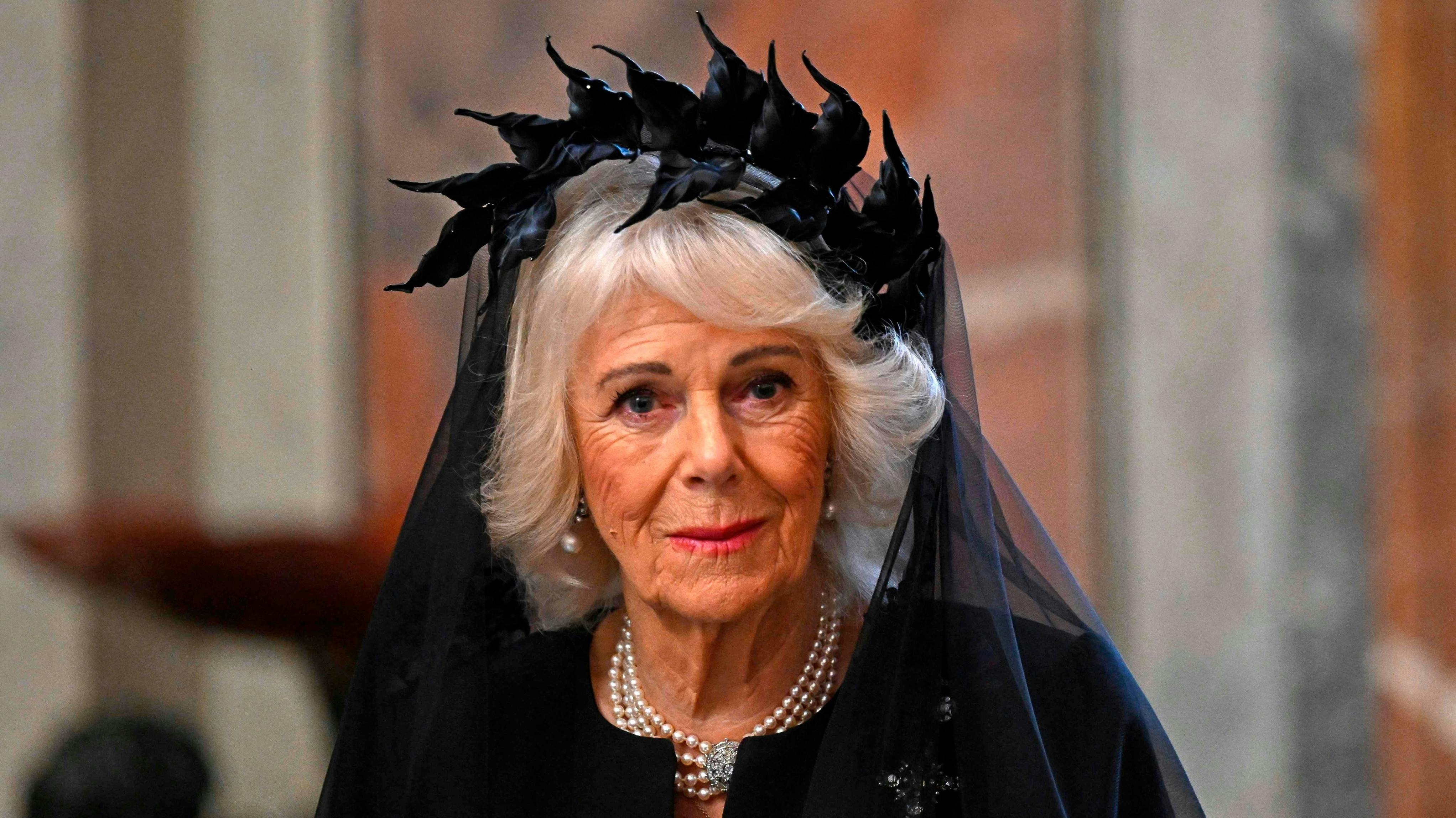 https://imgix.billedbladet.dk/2025-10-23/crop_20251023-150219-L-5845x4261ma.jpg