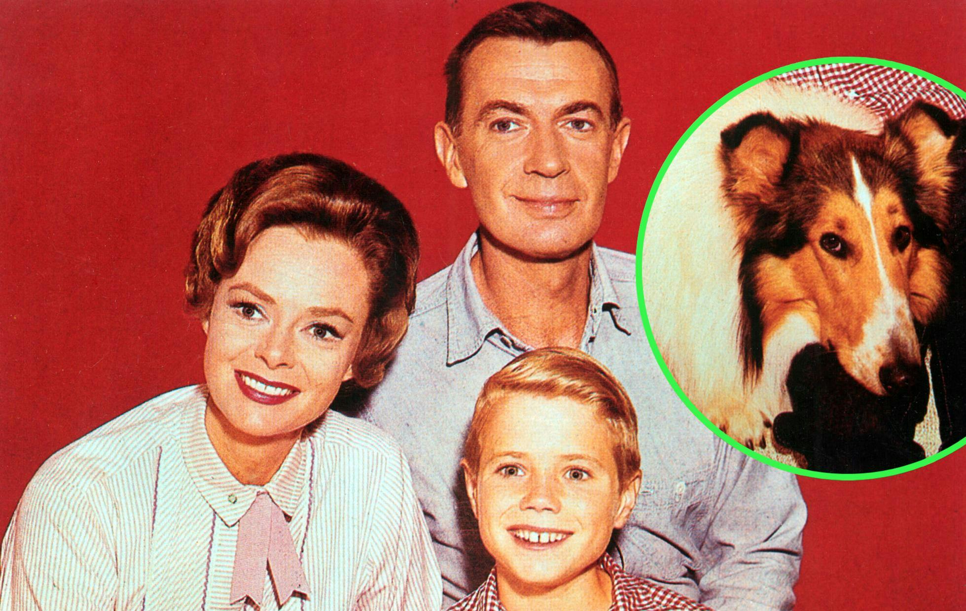 June Lockhart med Hugh Reilly, Jon Provost og Lassie.