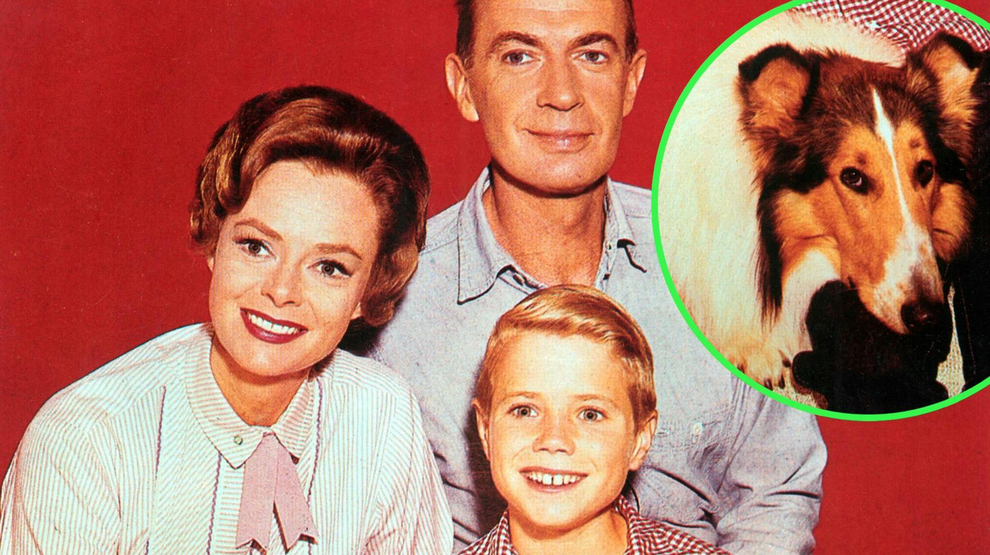 June Lockhart med Hugh Reilly, Jon Provost og Lassie.