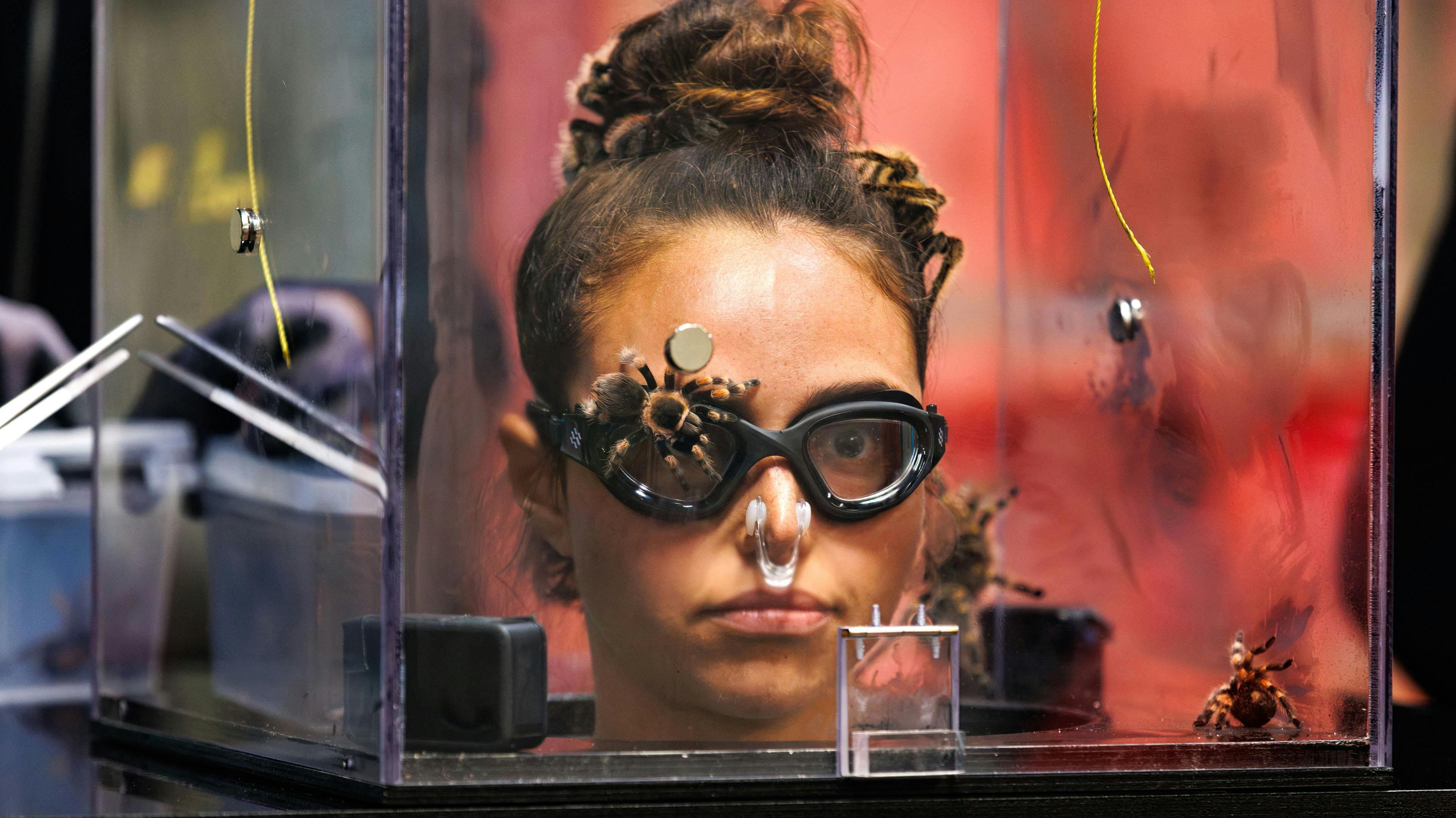 Der bliver brudt grænser i "Fear Factor". 