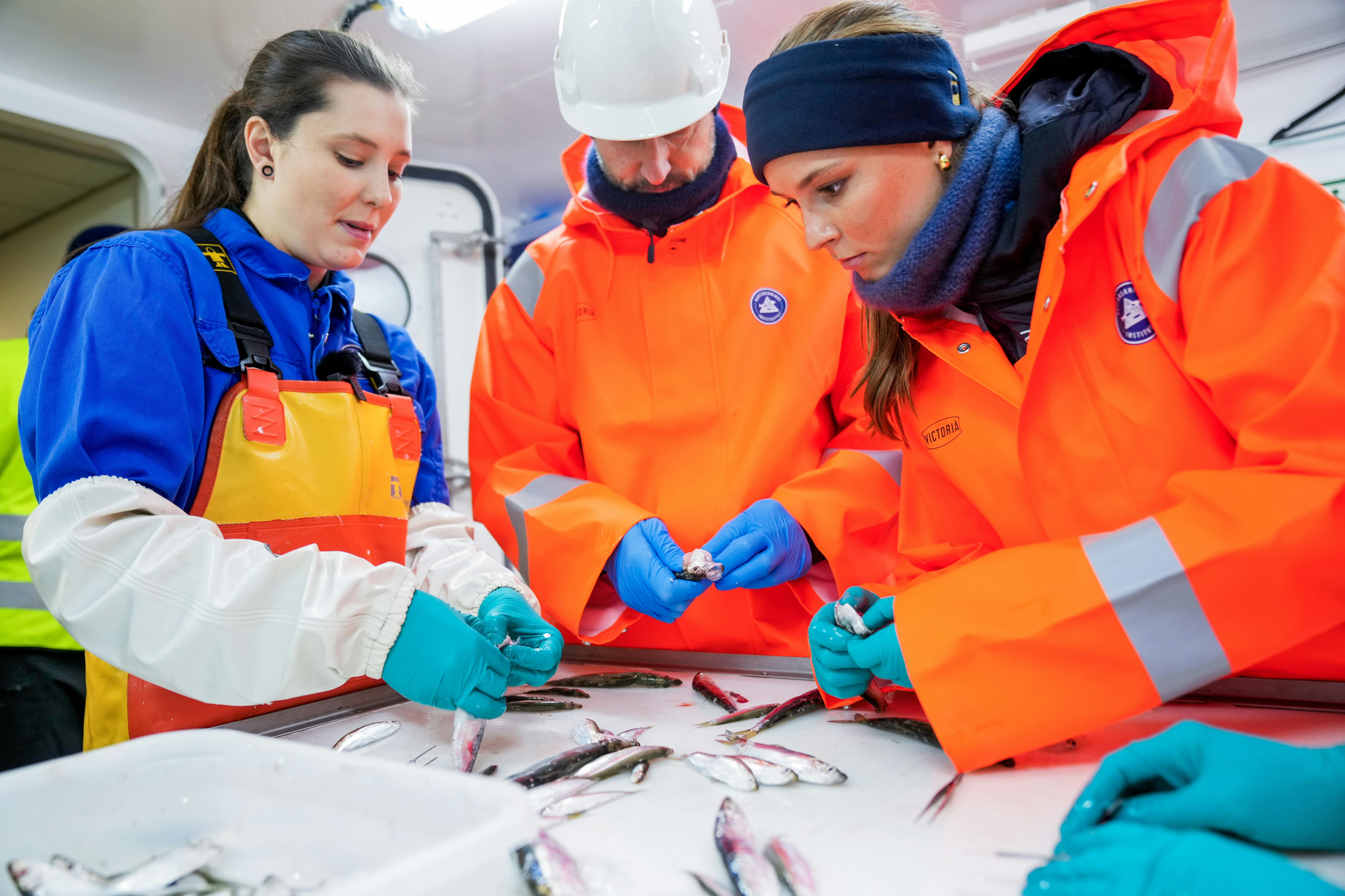 Den 21-årige prinsesse Ingrid Alexandra var praktisk klædt på, da der skulle ses på brislinger. 