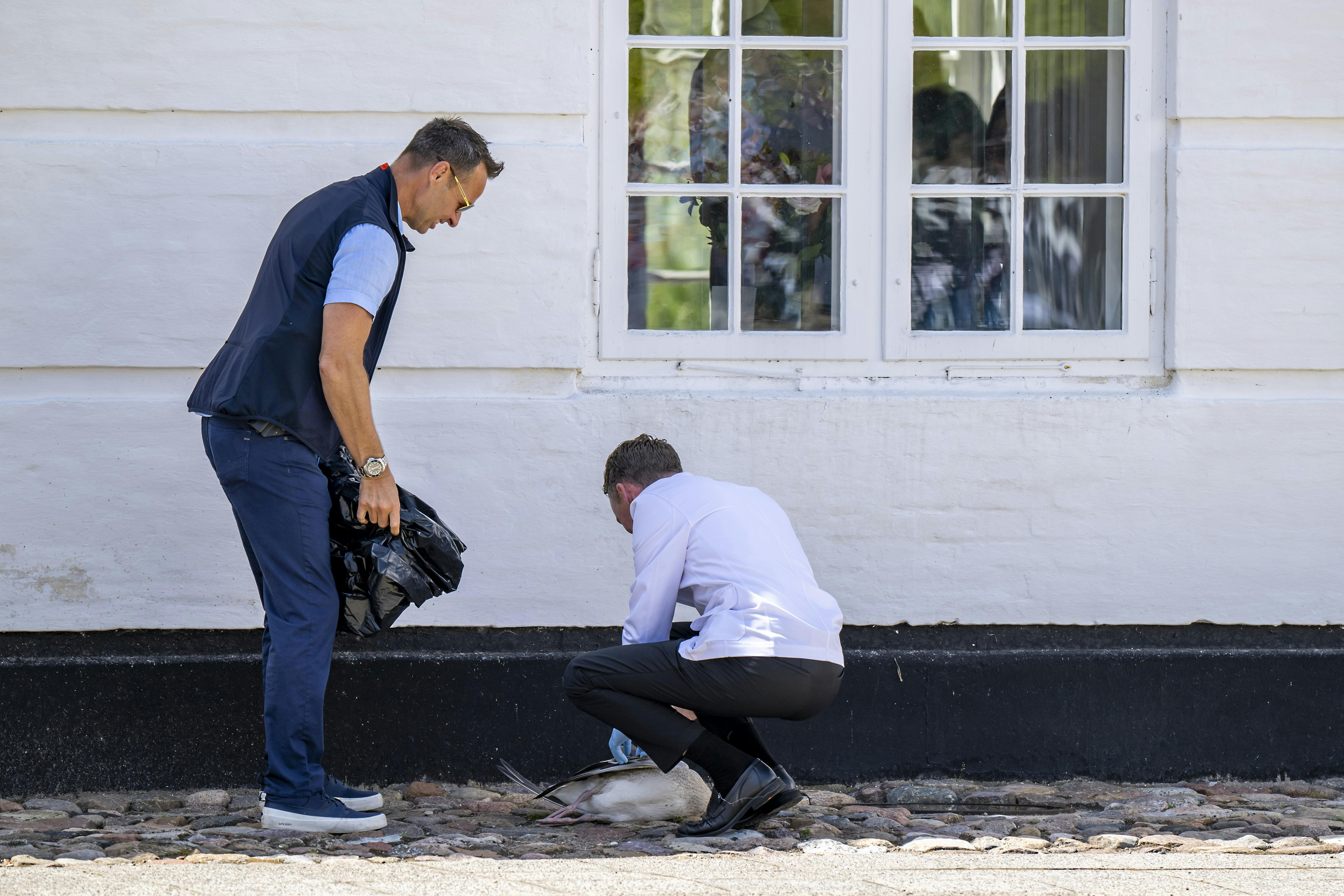 Hans majestæt Kong Frederik med dronning Mary og børnene Prins Vincent, Prinsesse Isabella & Prinsesse Josephine samt Prins Gustav og hustru Carina af Berleburg og deres børn prins Gustav Albrecht & Prinsesse Mafalda så det store vagtskifte ved Graasten Slot i Gråsten. 1. august 2025