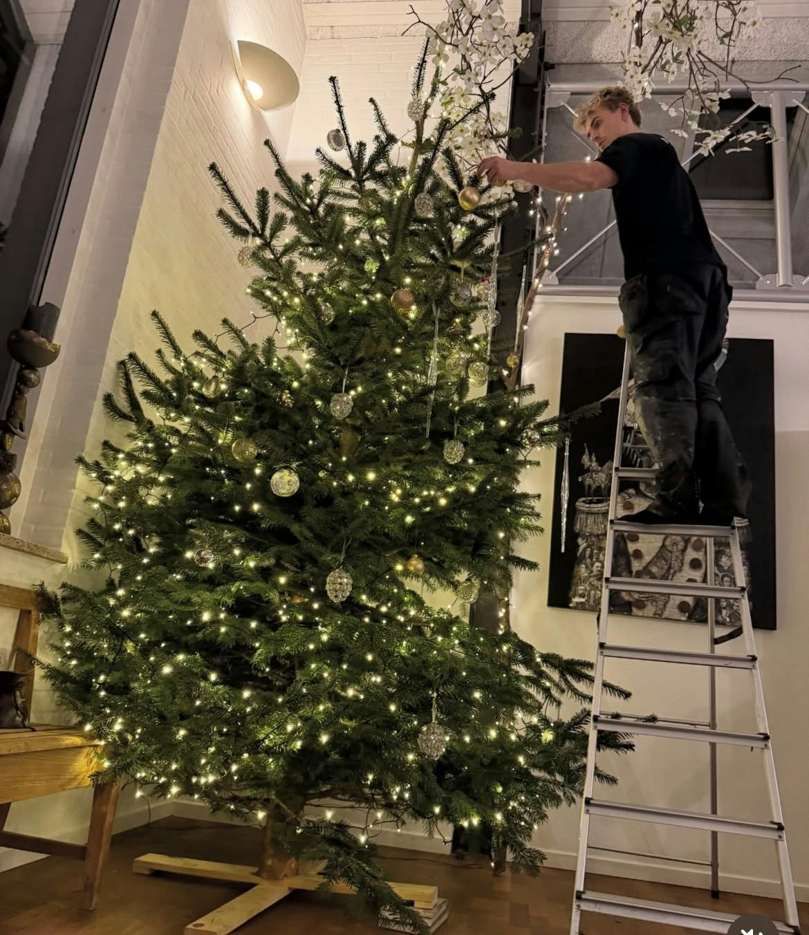 Så sættes der lys på det store juletræ.