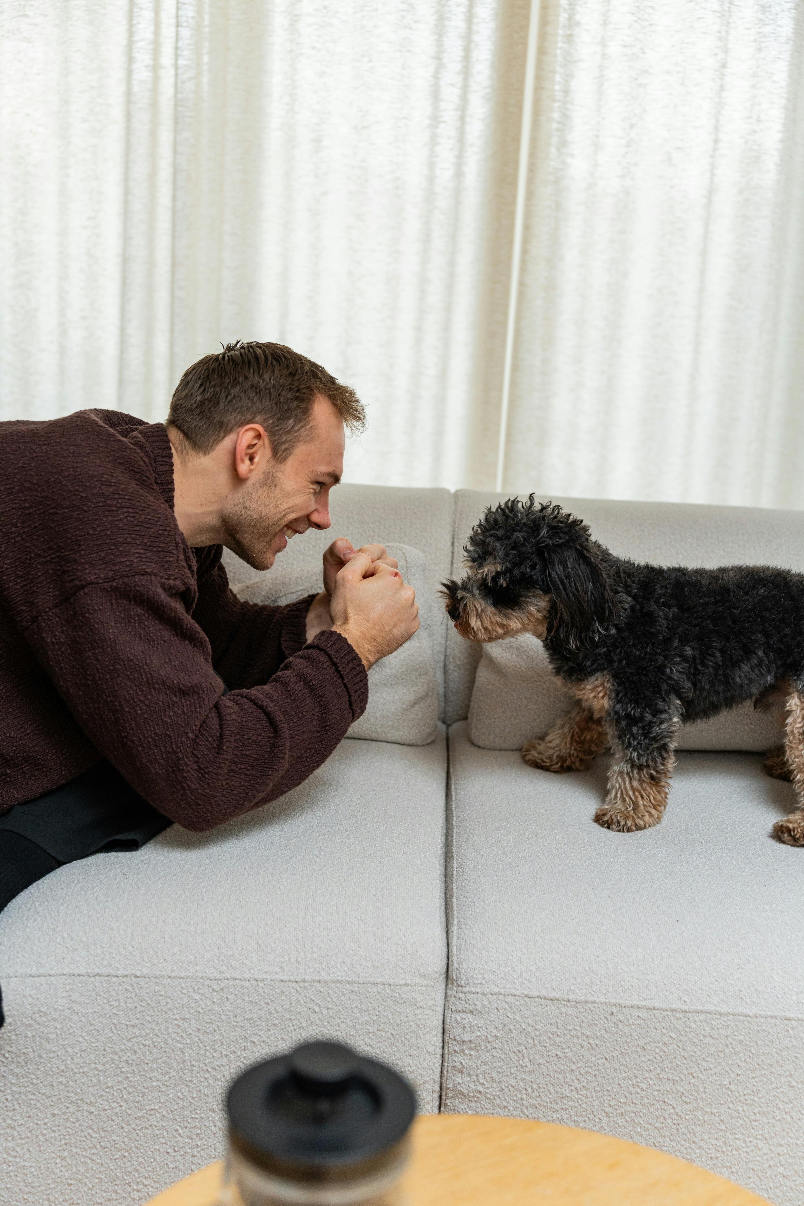 Mathias Gidsel og kæresten Katrine har hunden Hermann sammen.