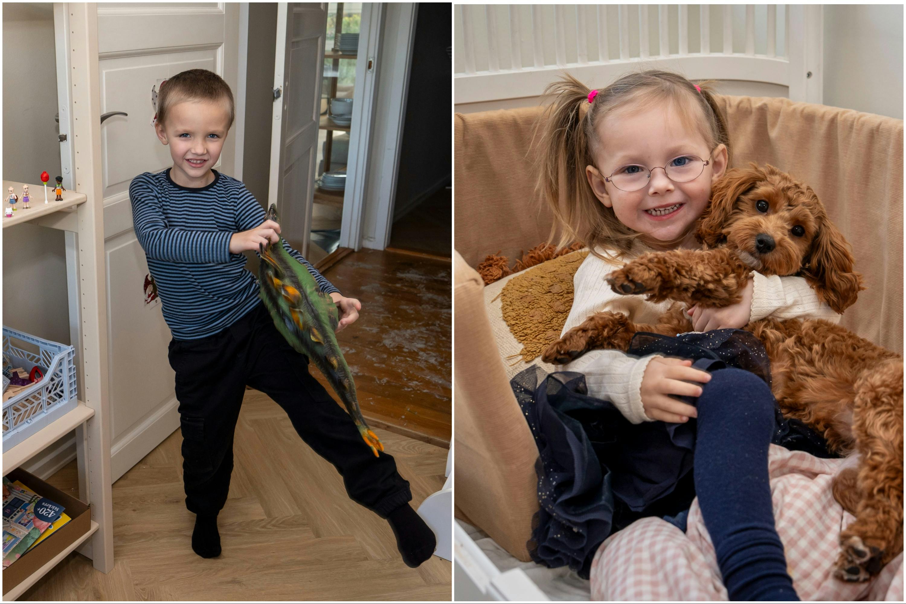 Både Louie, Asta og Berta er glade for det nye hjem i Fredensborg.