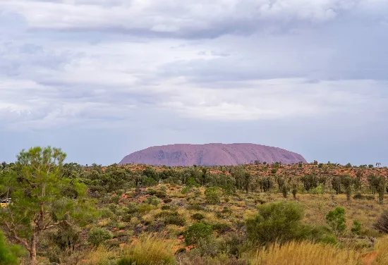 Fantastiske Uluru får fint besøg.