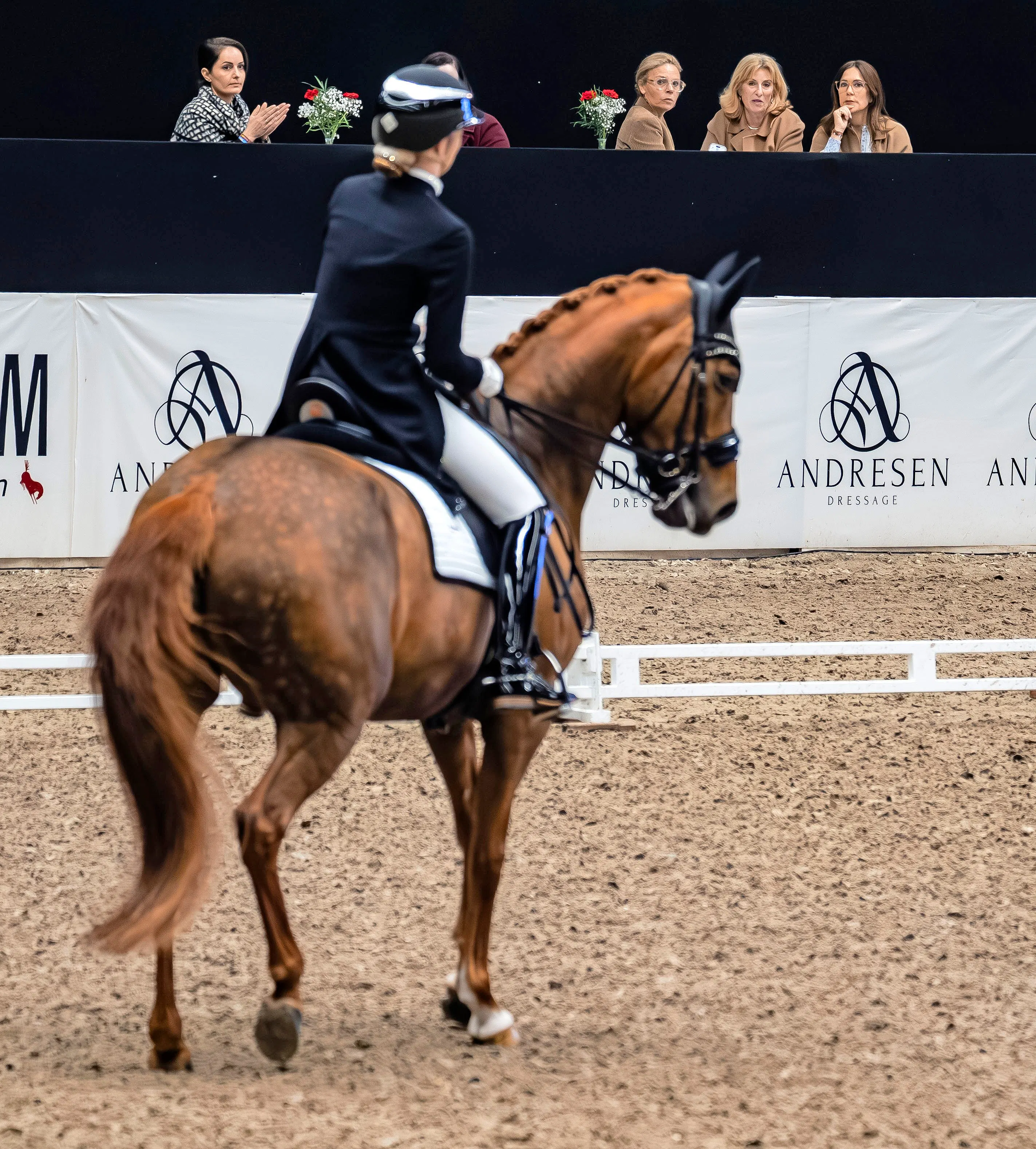 Dronning Mary ses her bagved blandt publikum til Dansk Varmblods Hingstekåring i marts.