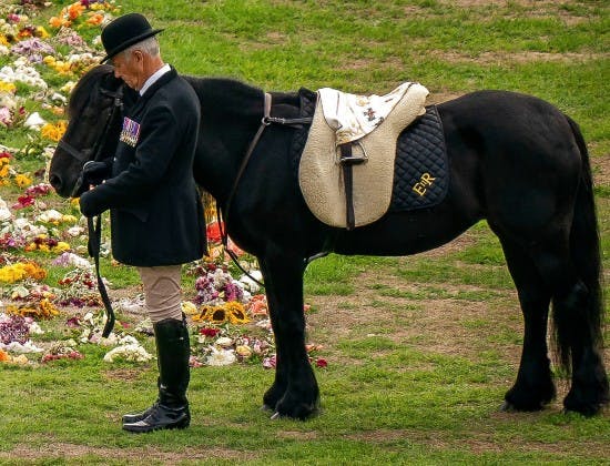 Dronning Elizabeths fell pony med sin oppasser