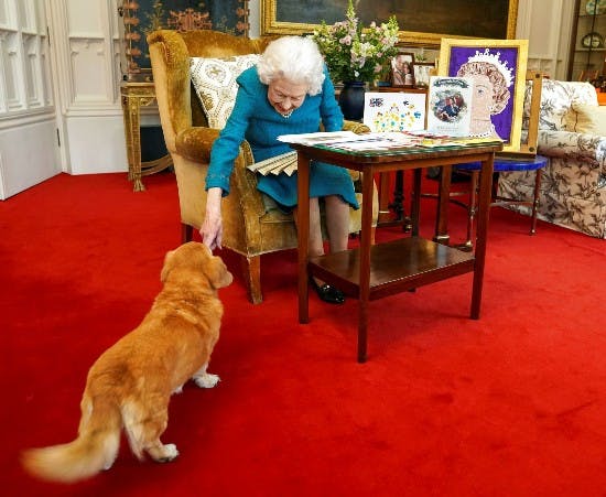 Dronning Elizabeth med den ene af sine to hunde