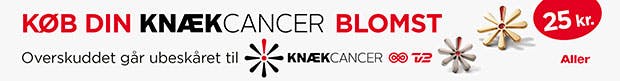 https://imgix.billedbladet.dk/knaekcancer2019bund.jpg